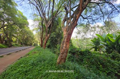 2.3 Acre Residential Land Available For Sale in Old Kitisuru, Along Ngecha road