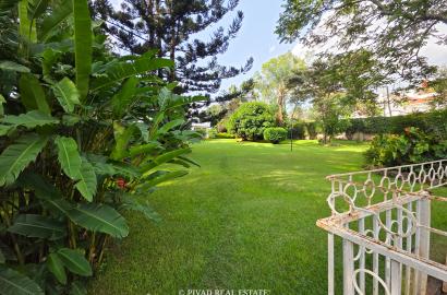 Expansive 1-Acre Freehold Land With an old house Available for Sale in Thigiri Estate