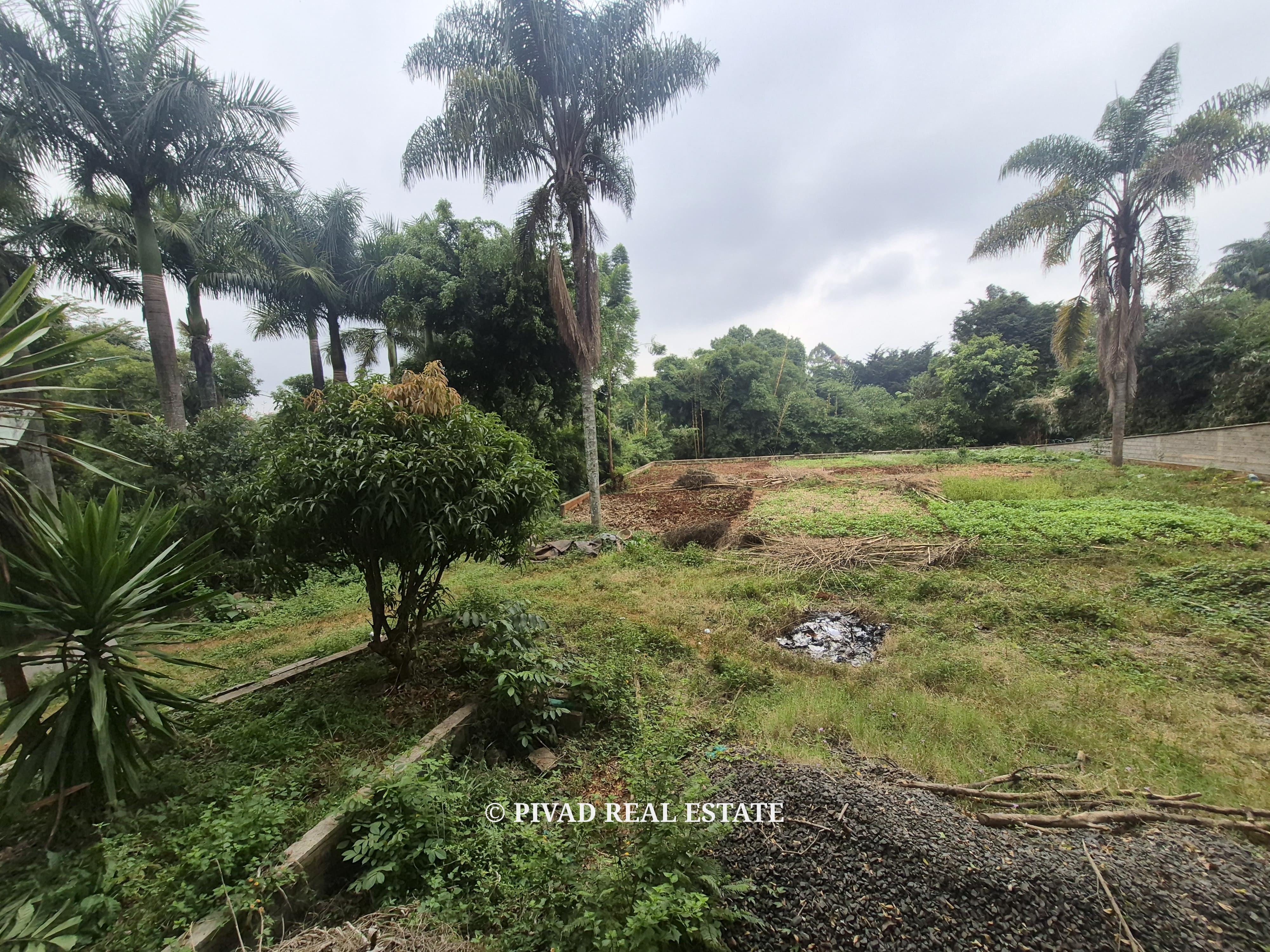 Half-Acre Land for Sale – Gigiri Whispers