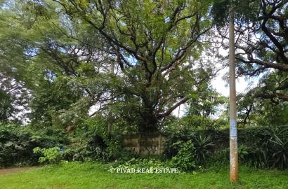2 Acres Flat Land for Sale in Lower Kabete