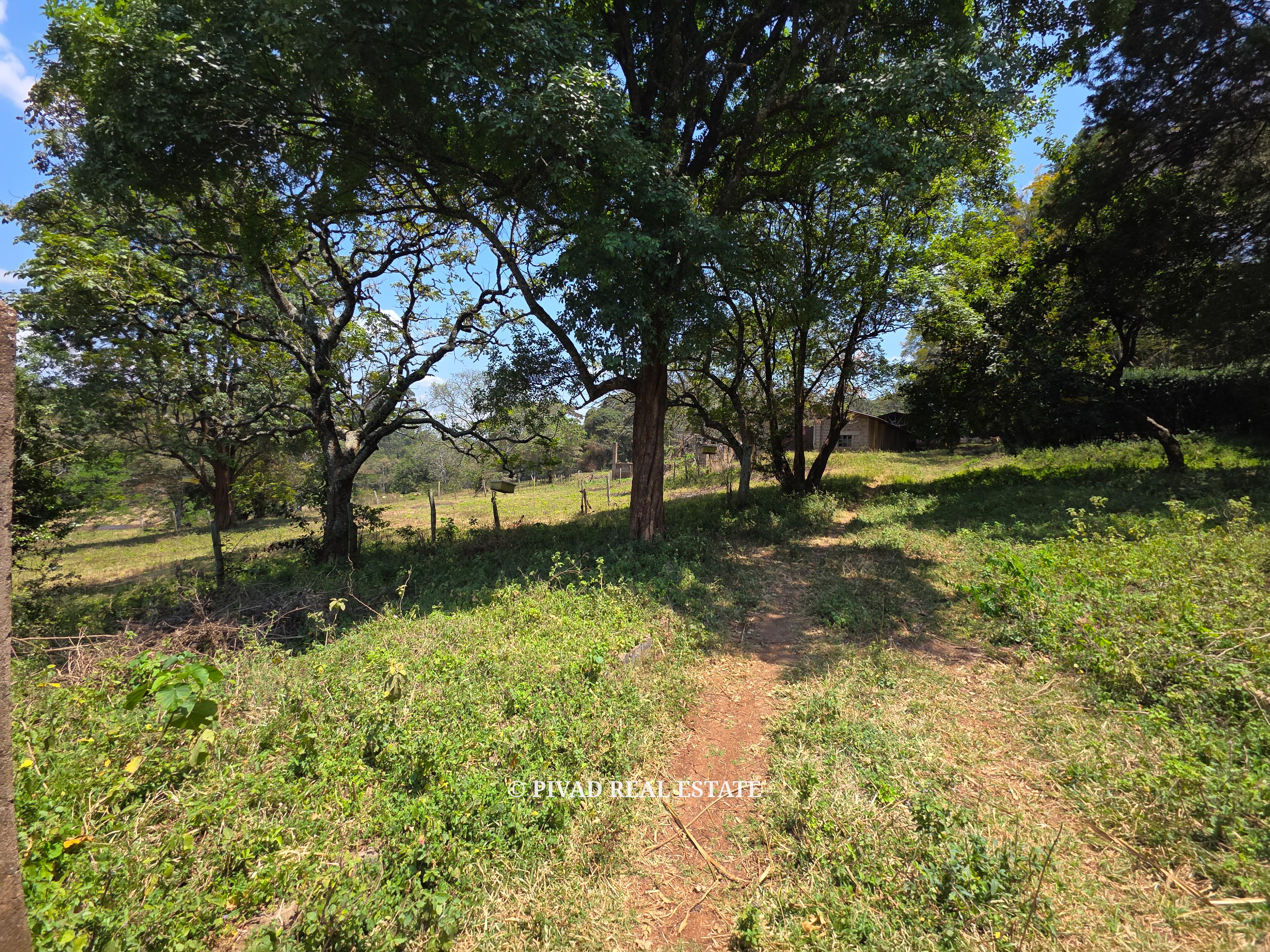 20 Acre land Available for Joint Venture in Karen off Marula lane
