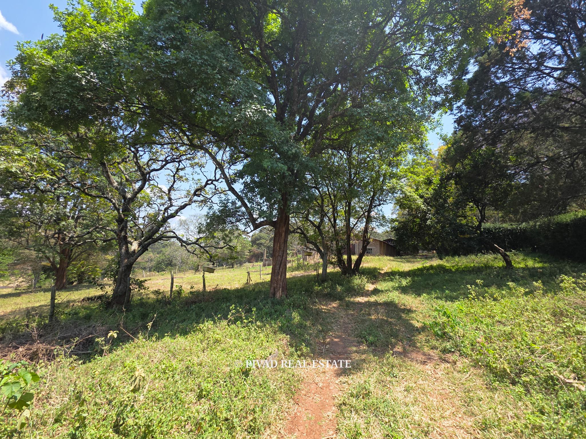 20 Acre land Available for Joint Venture in Karen off Marula lane