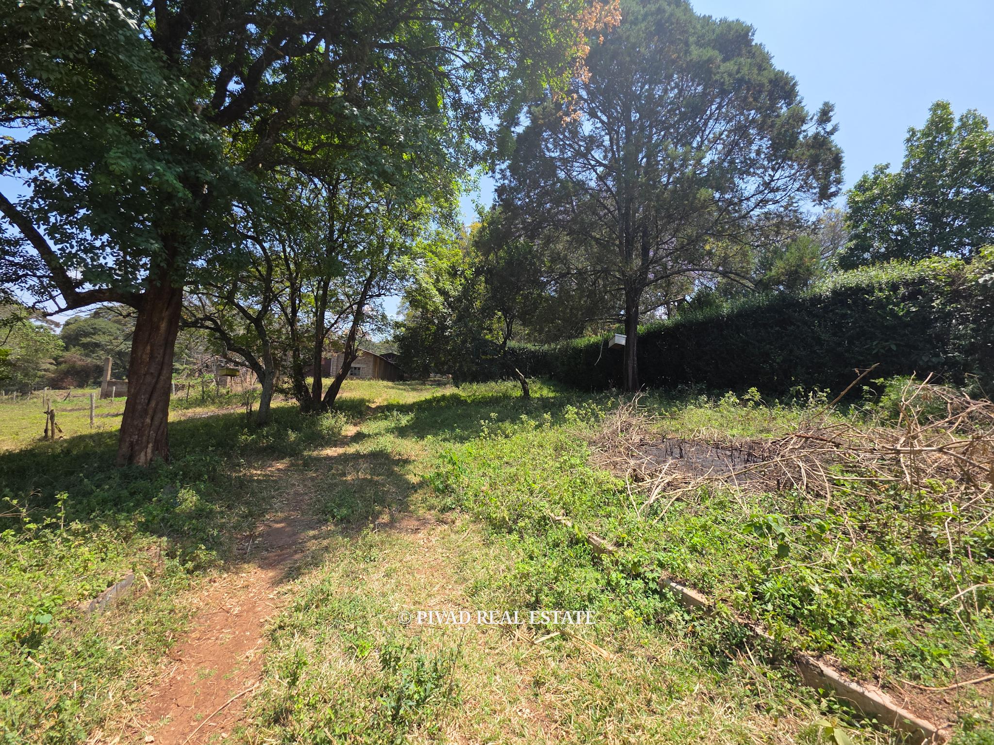 20 Acre land Available for Joint Venture in Karen off Marula lane