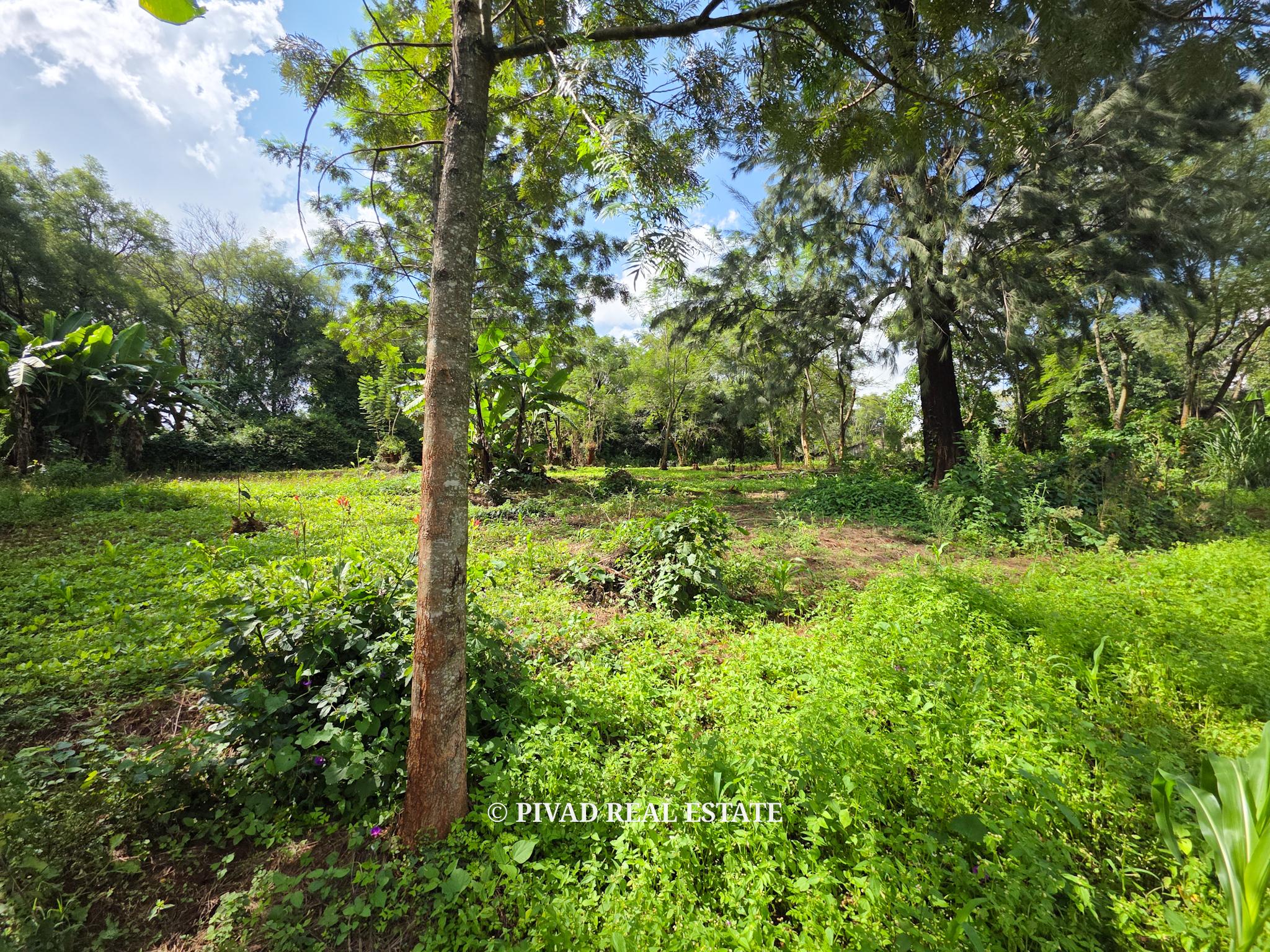 2.3 Acre Residential Land Available For Sale in Old Kitisuru, Along Ngecha road