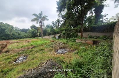 Half-Acre Land for Sale – Gigiri Whispers