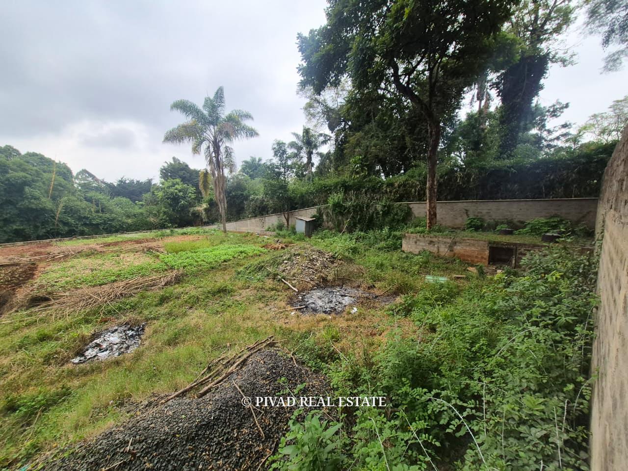 Half-Acre Land for Sale – Gigiri Whispers