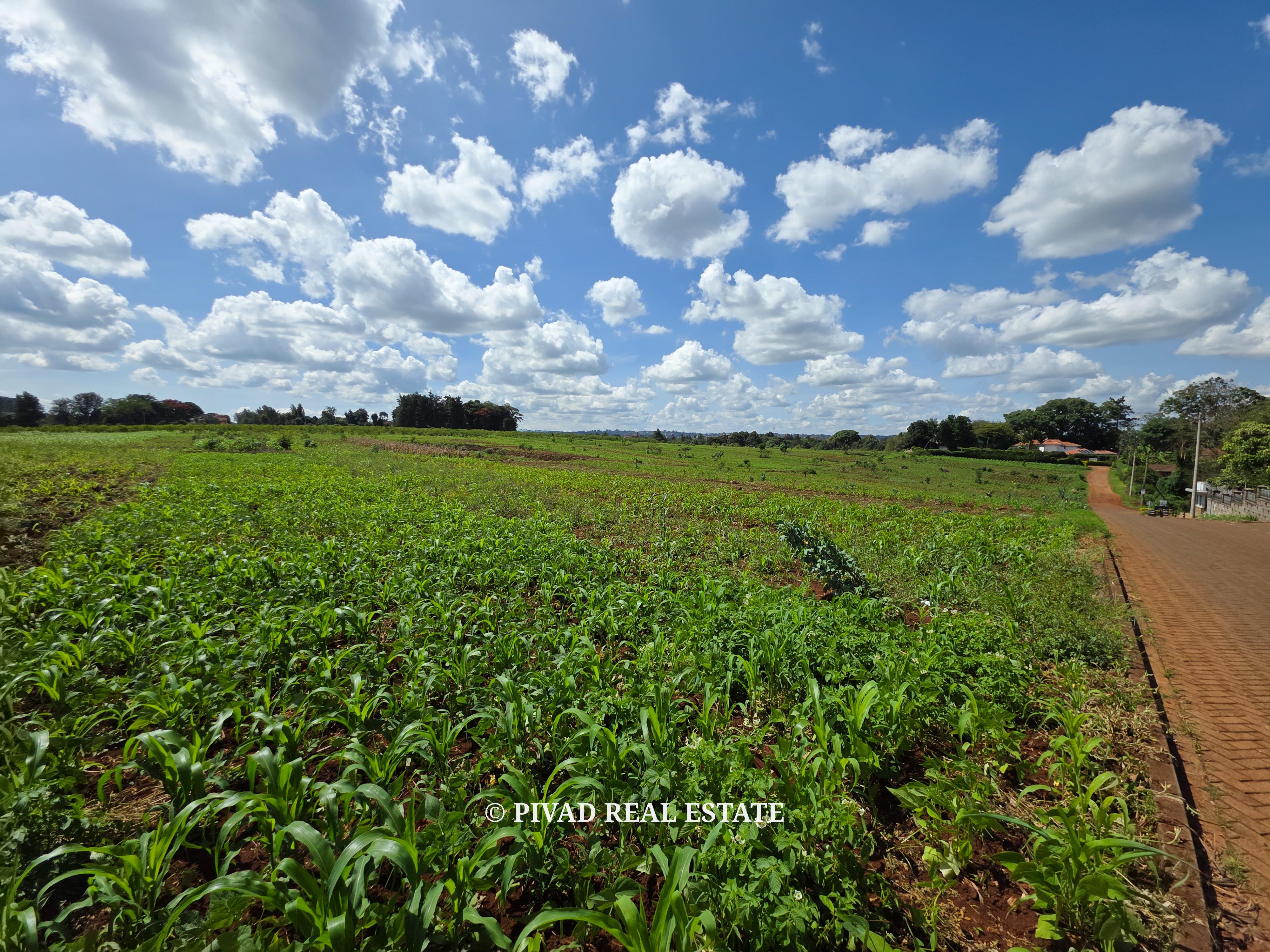 Prime Development of 10 Acres in New Kitisuru For Sale