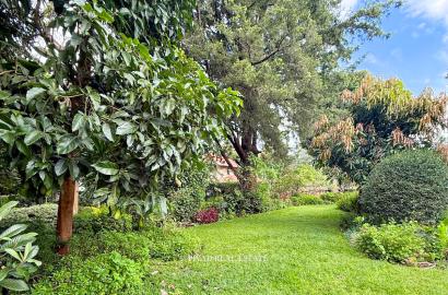 Half Acre Land for Sale in Hill Estate, Kyuna