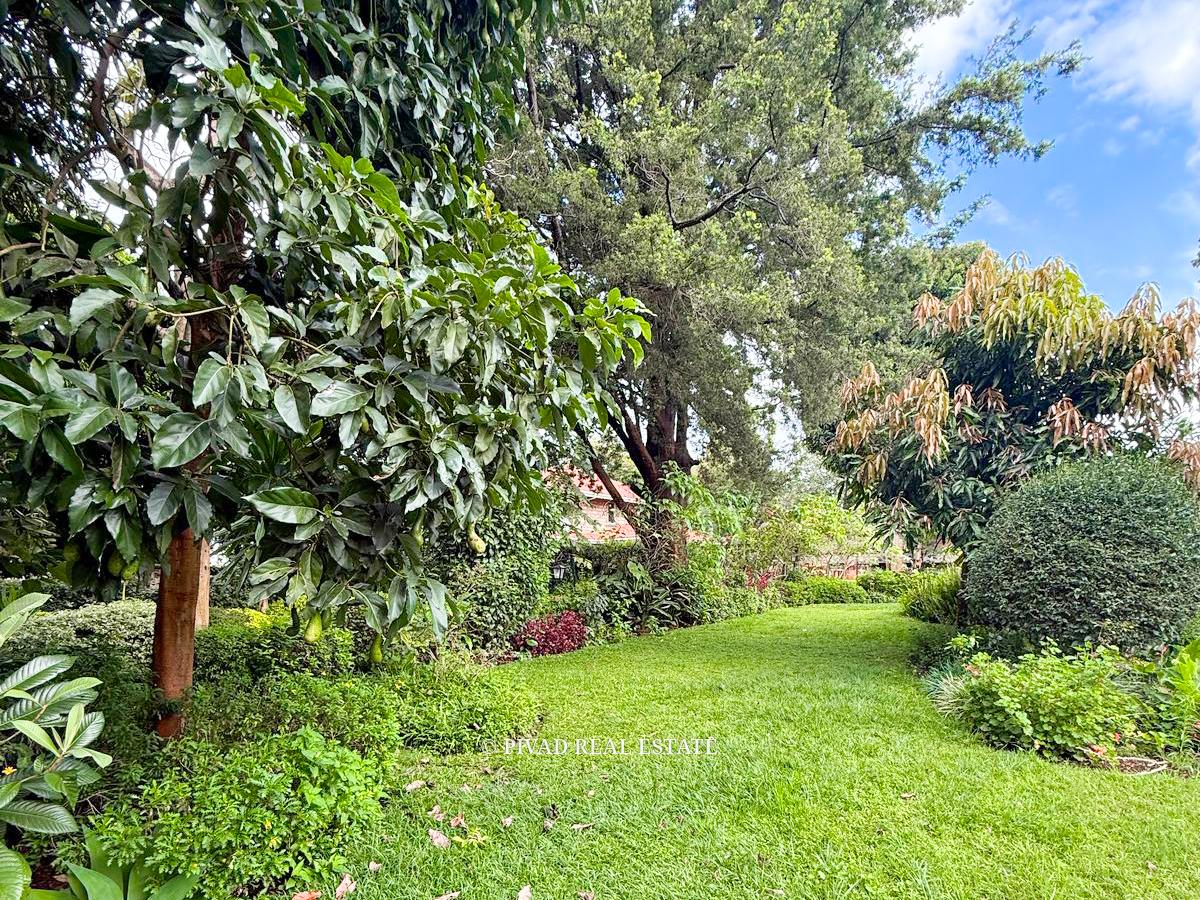 Half Acre Land for Sale in Hill Estate, Kyuna