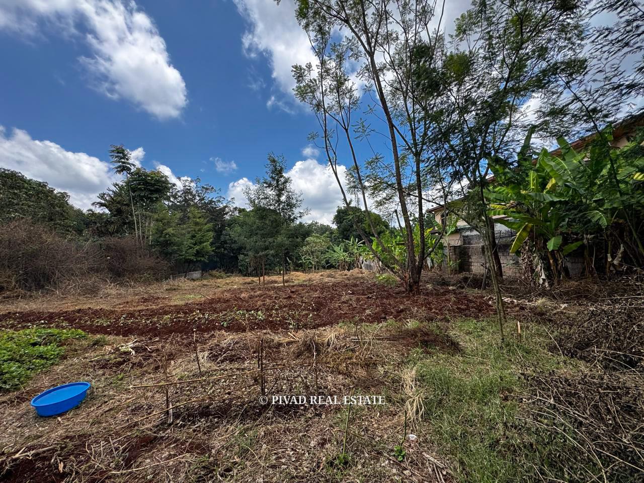 0.6 acre residential land Available for sale in Kyuna Area