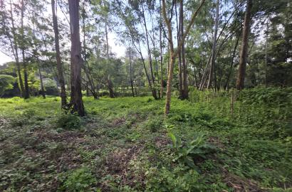 0.5 Acre Plot Available For Sale in Lake View, Westlands