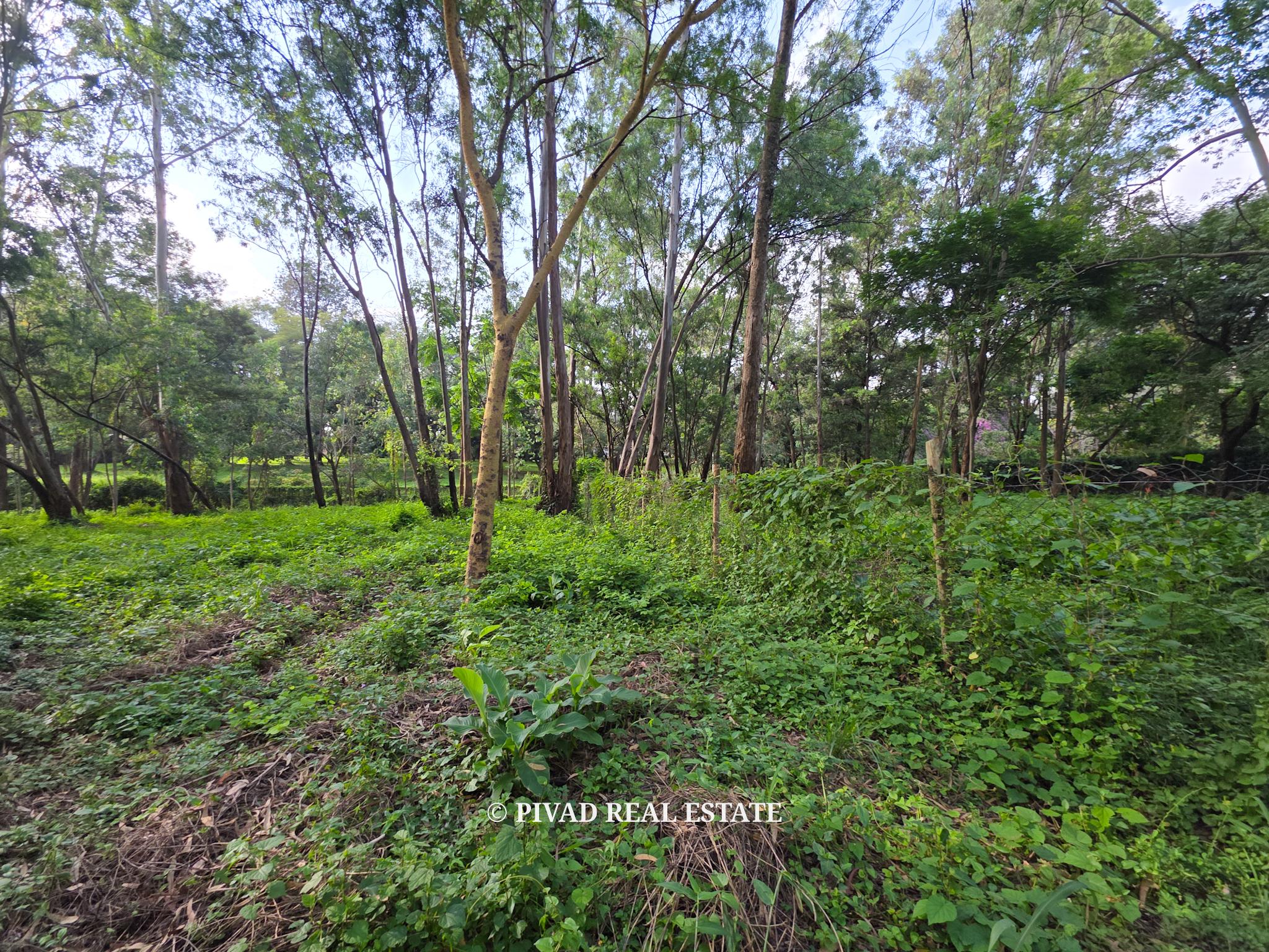1 Acre Plot Available For Sale in Lake View, Westlands