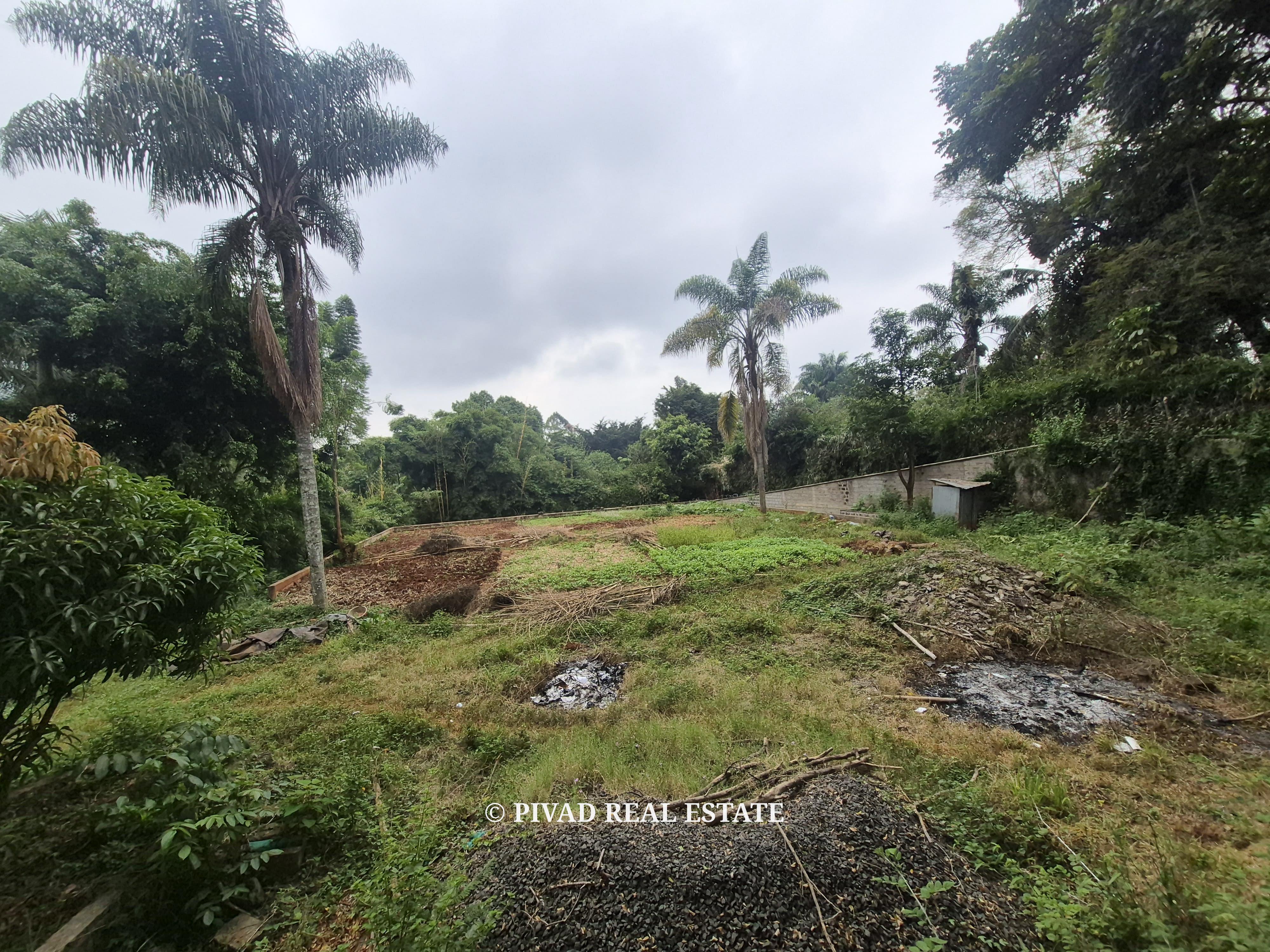 Half-Acre Land for Sale – Gigiri Whispers