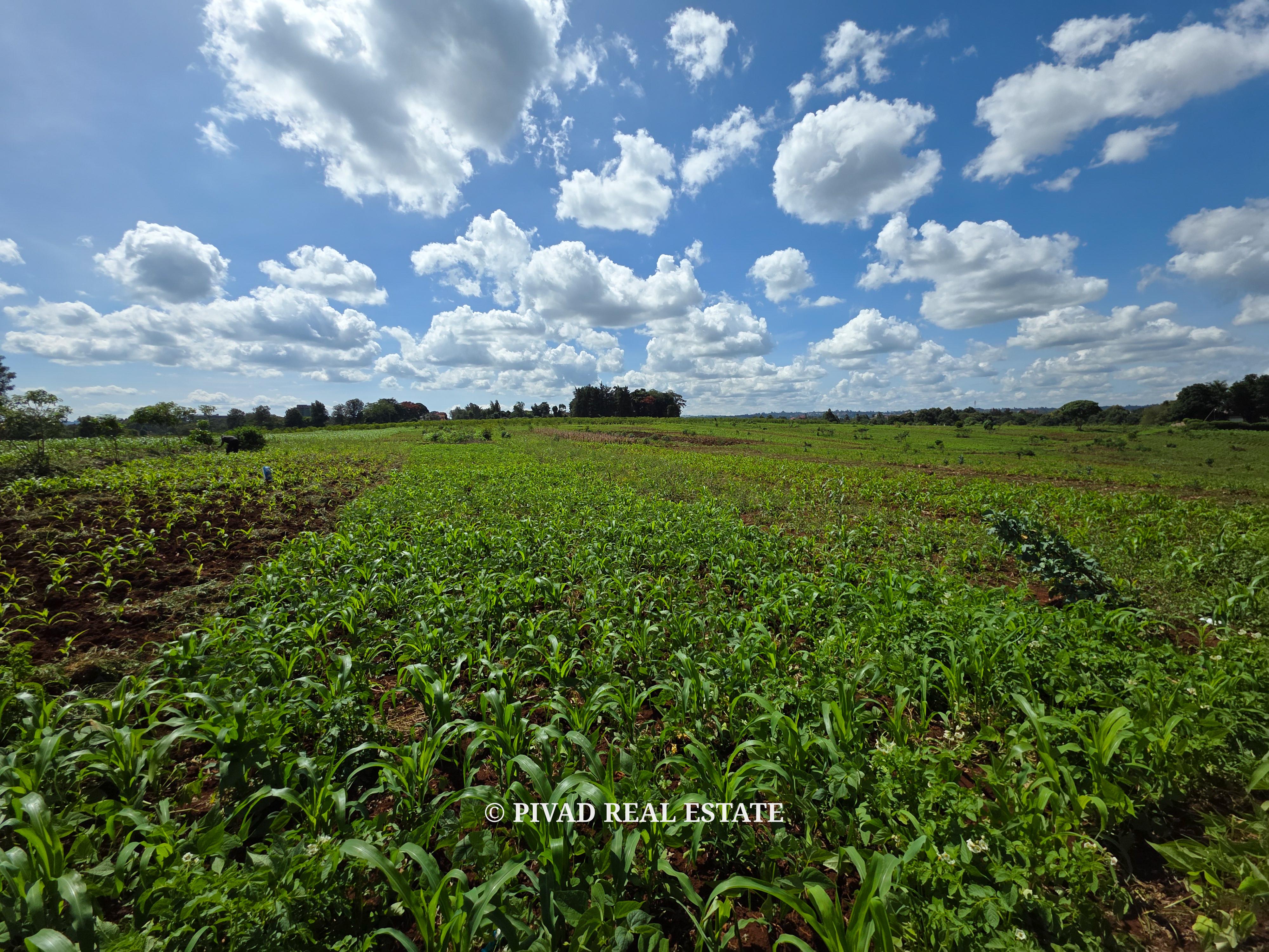 Prime Development of 10 Acres in New Kitisuru For Sale