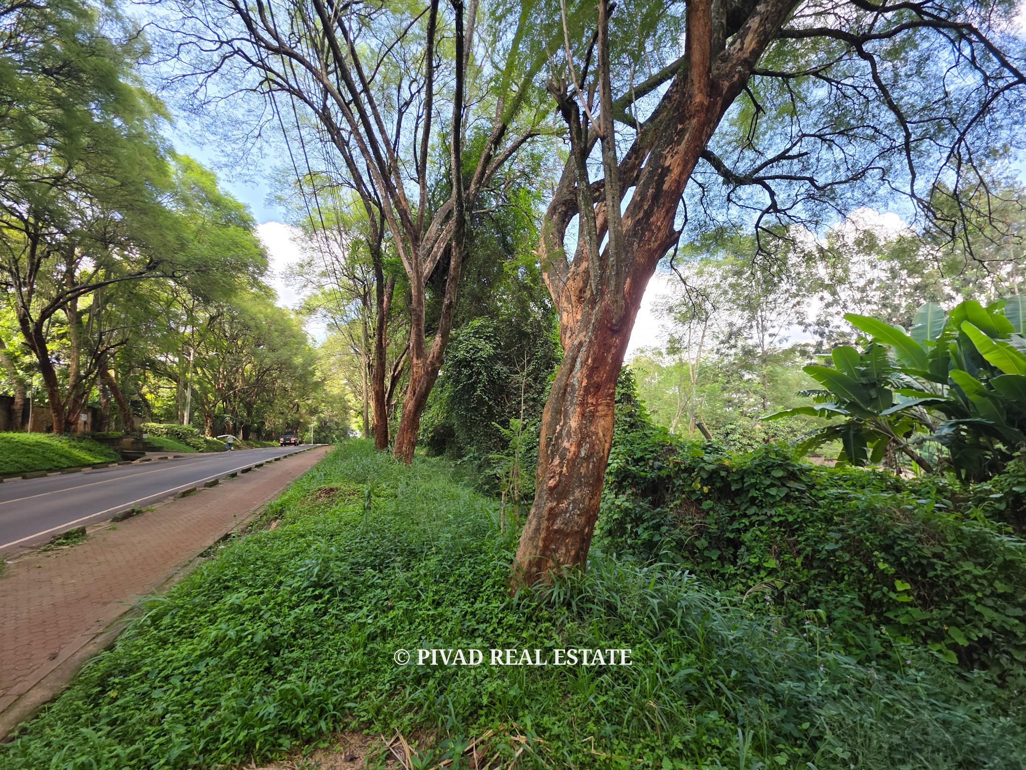 2.3 Acre Residential Land Available For Sale in Old Kitisuru, Along Ngecha road