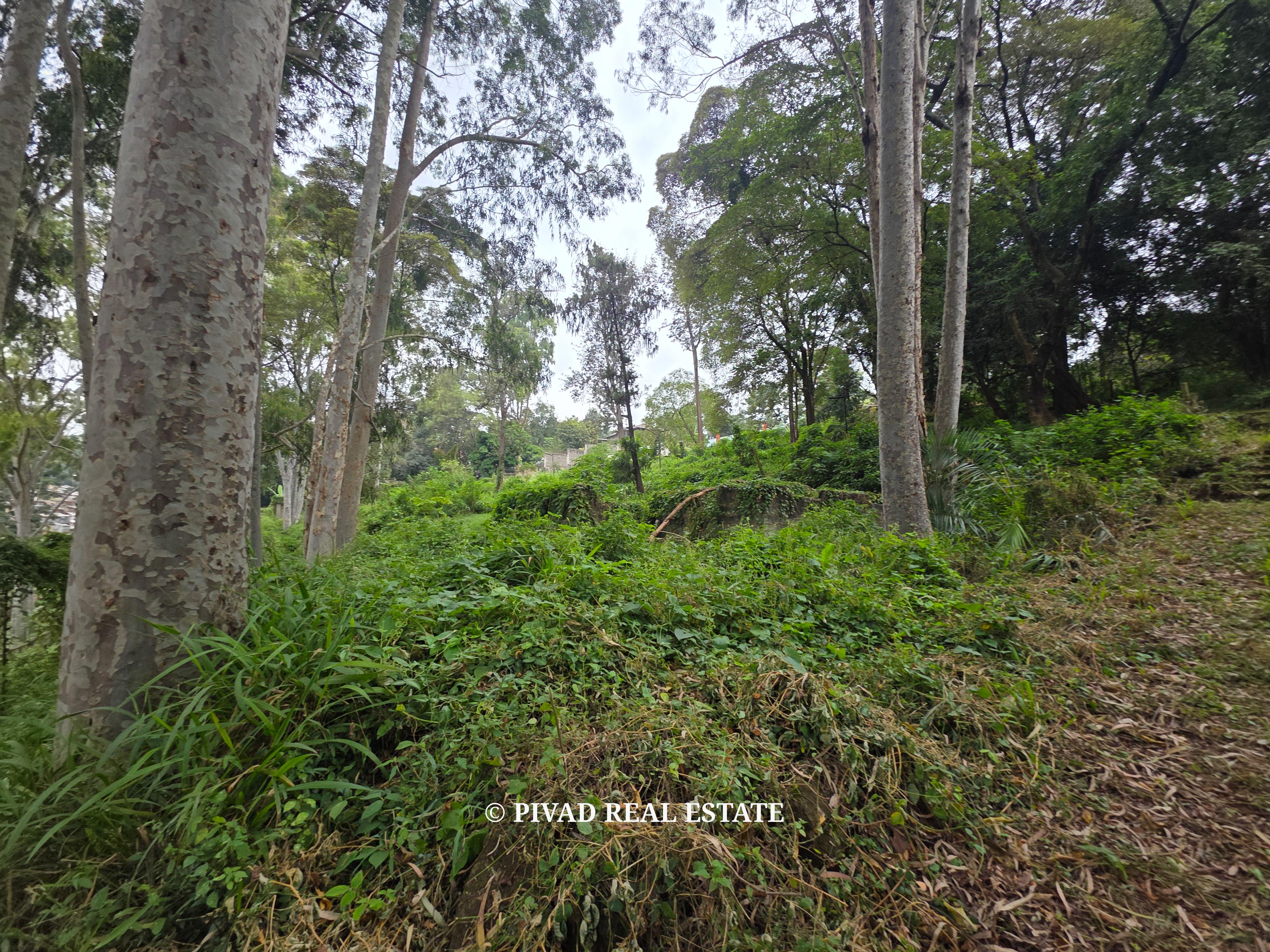 Prime 4.3-Acre Land for Sale in Old Muthaiga