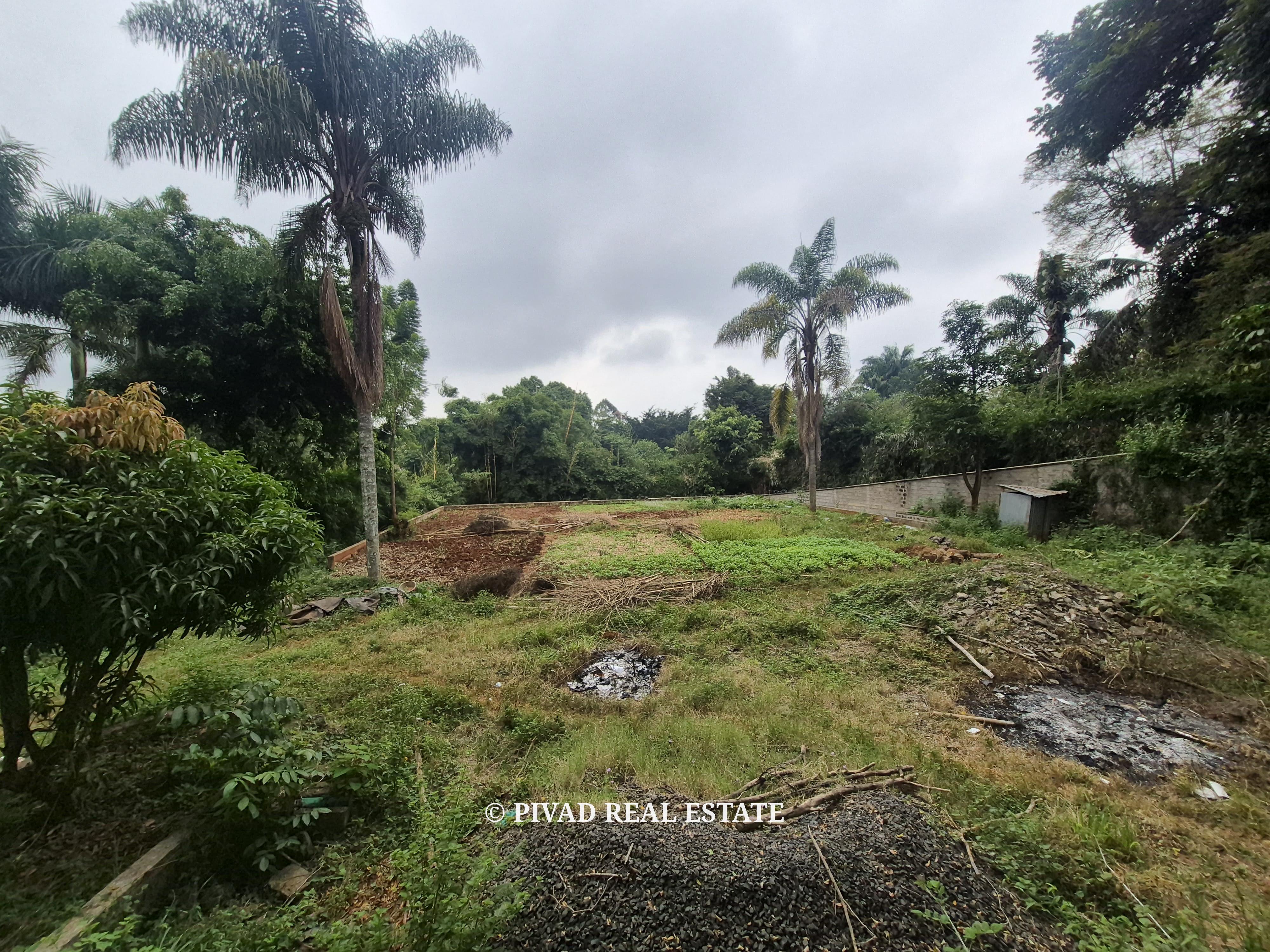 Half-Acre Land for Sale – Gigiri Whispers
