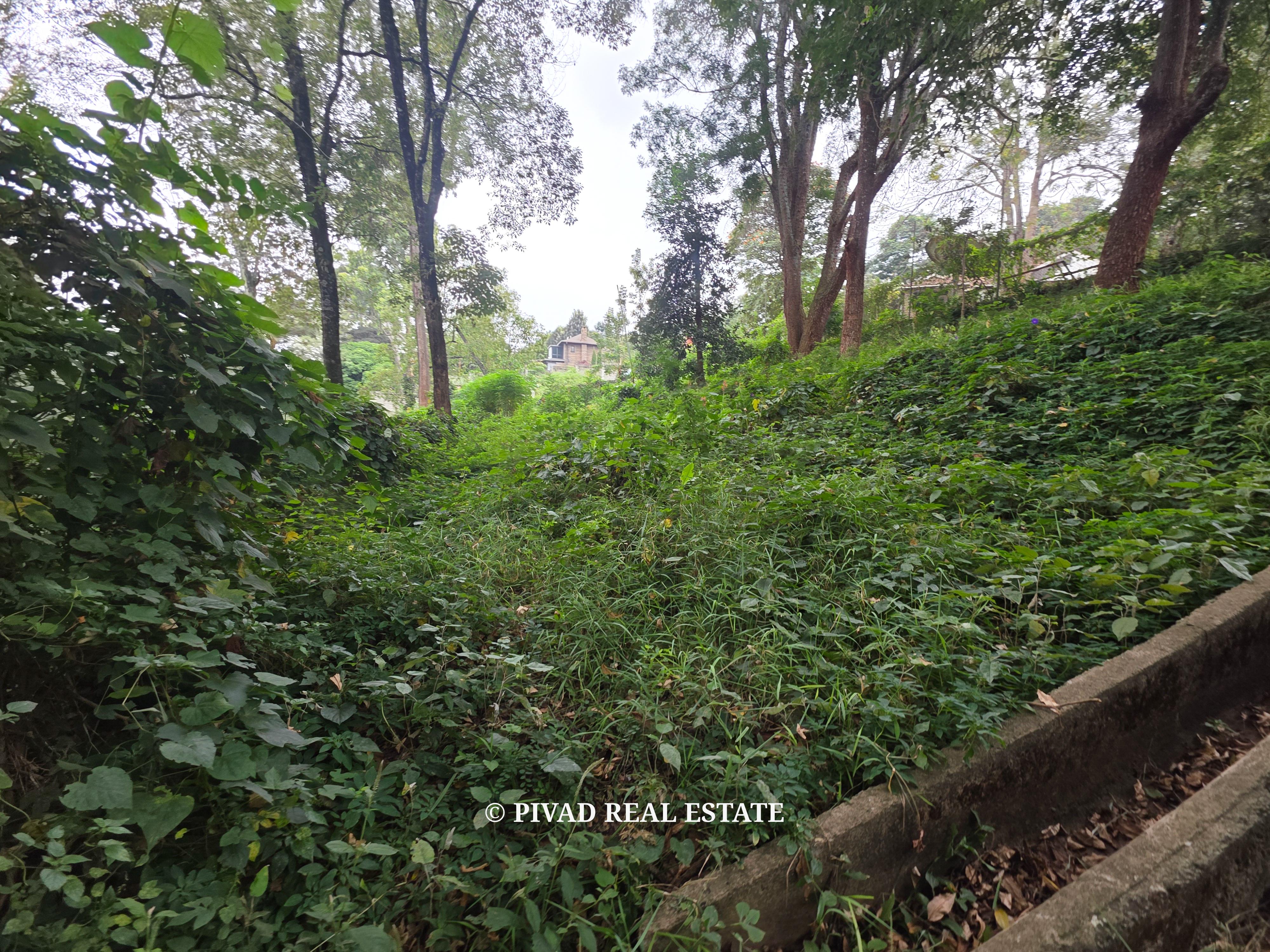 Prime 4.3-Acre Land for Sale in Old Muthaiga