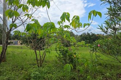 Half Acre available for sale in Country Side Muthaiga North