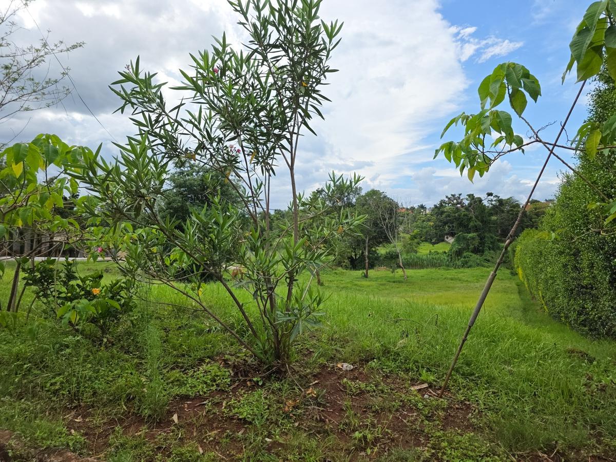 Half Acre available for sale in Country Side Muthaiga North