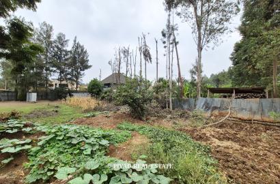 Quarter Acre Plot for Sale – Garden Estate