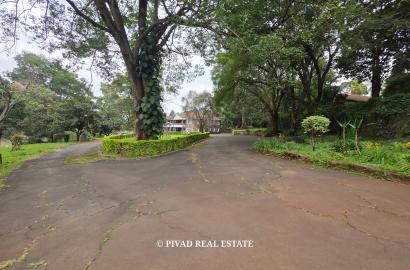 Prime 4.3-Acre Land for Sale in Old Muthaiga