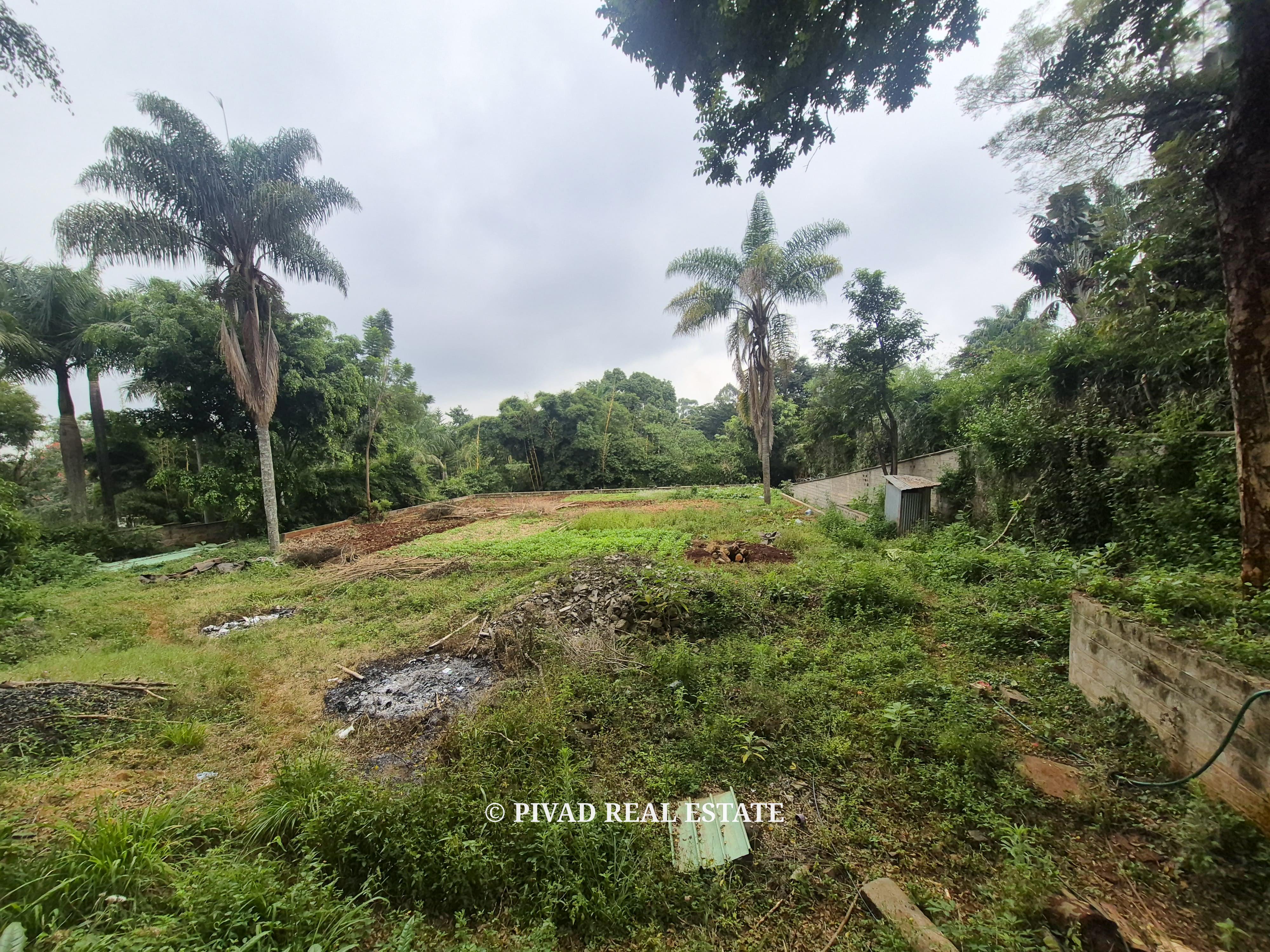 Half-Acre Land for Sale – Gigiri Whispers
