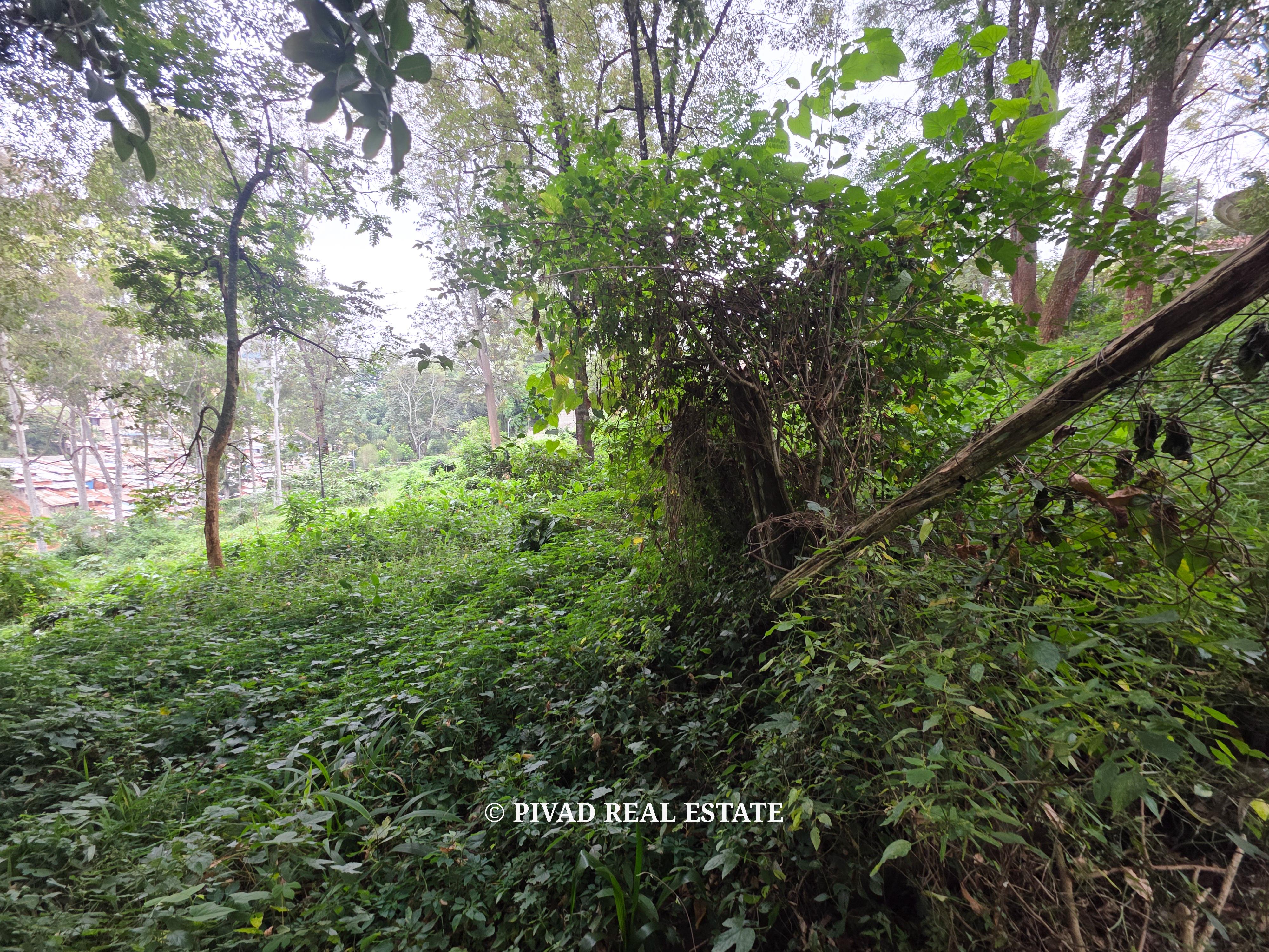 Prime 4.3-Acre Land for Sale in Old Muthaiga
