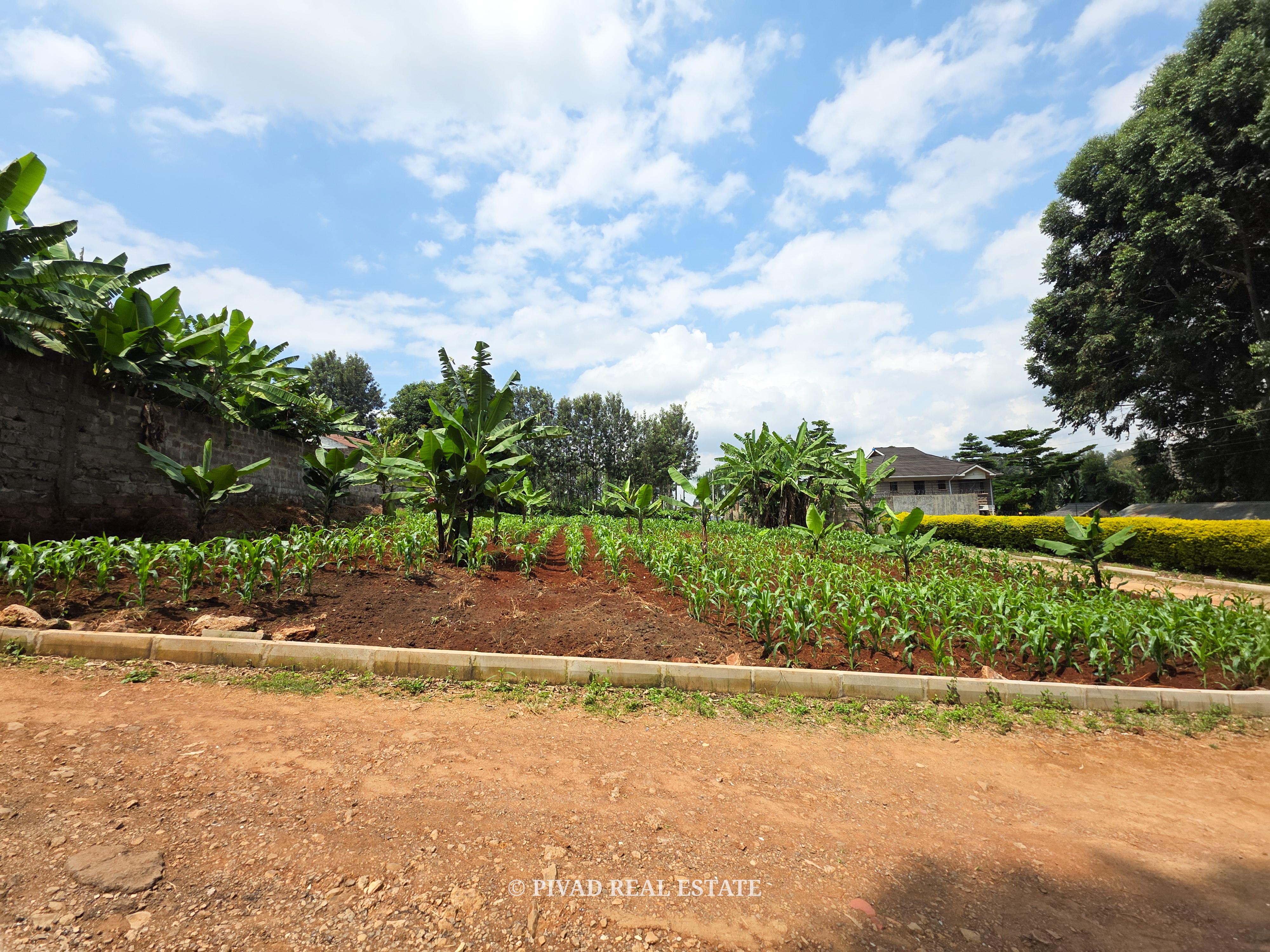 Half Acre Available For Sale in Mushroom Gardens, Off Kiambu Road