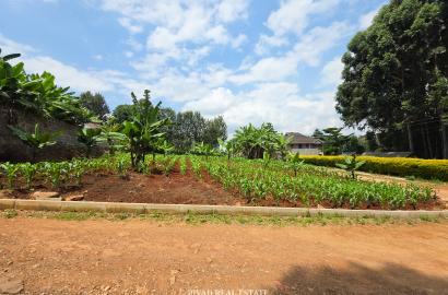 Half acre land available for sale in Mushroom Gardens