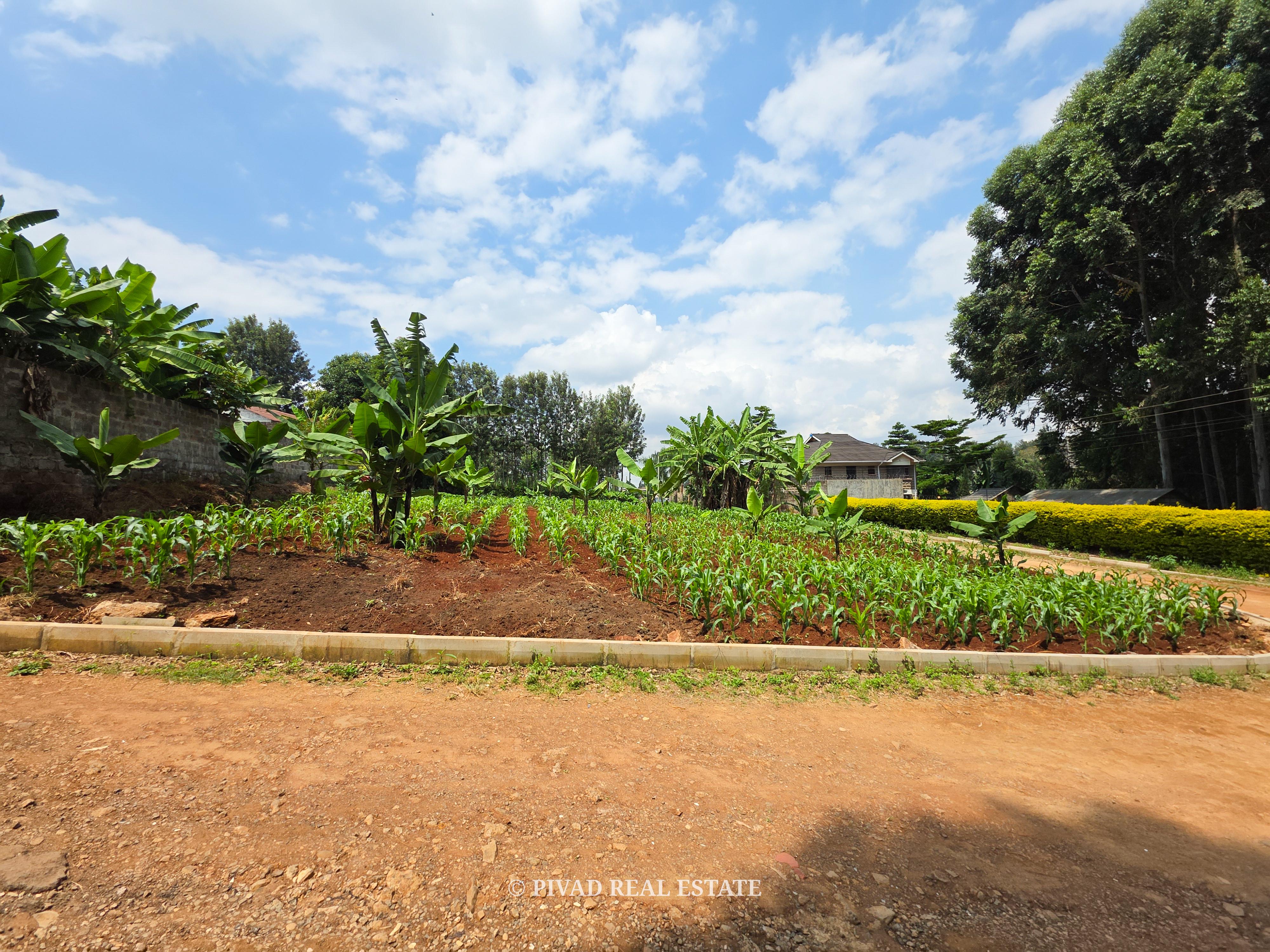 Half Acre Available For Sale in Mushroom Gardens, Off Kiambu Road
