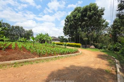 Half Acre Available For Sale in Mushroom Gardens, Off Kiambu Road