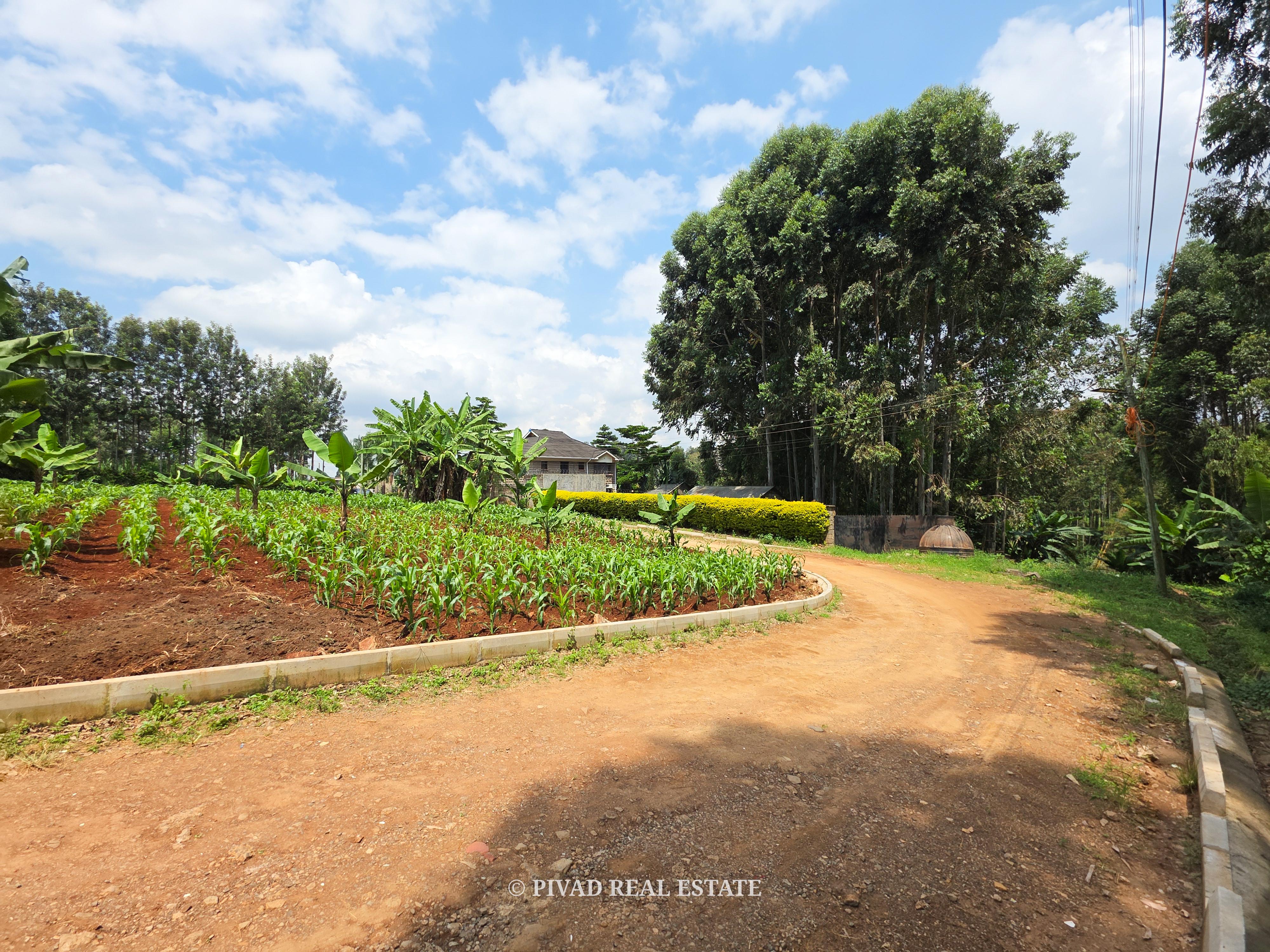 Half Acre Available For Sale in Mushroom Gardens, Off Kiambu Road