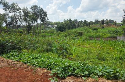 Half acre Land For Sale In Mushroom Gardens, Kiambu Road
