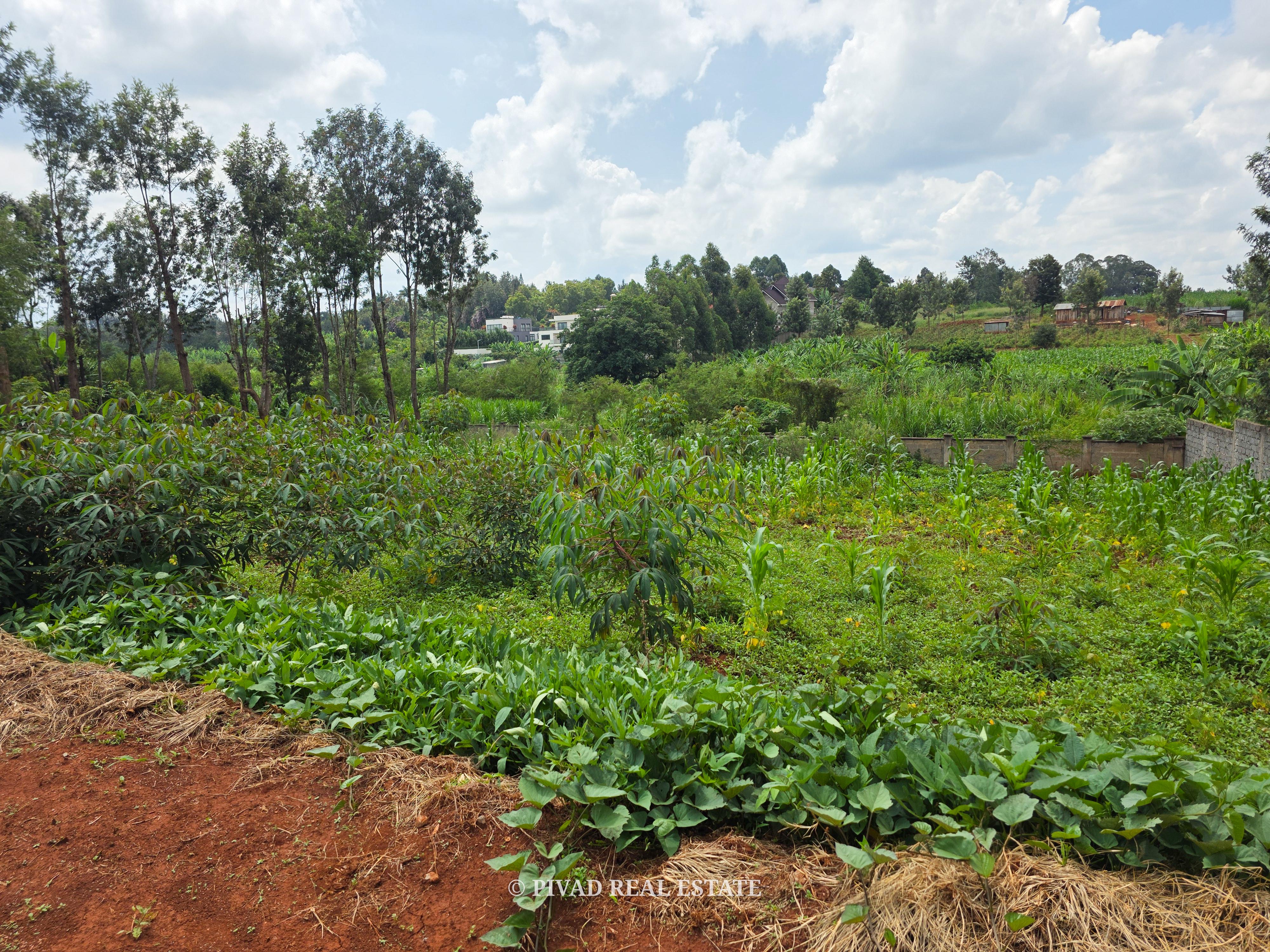 Half acre Land For Sale In Mushroom Gardens, Kiambu Road