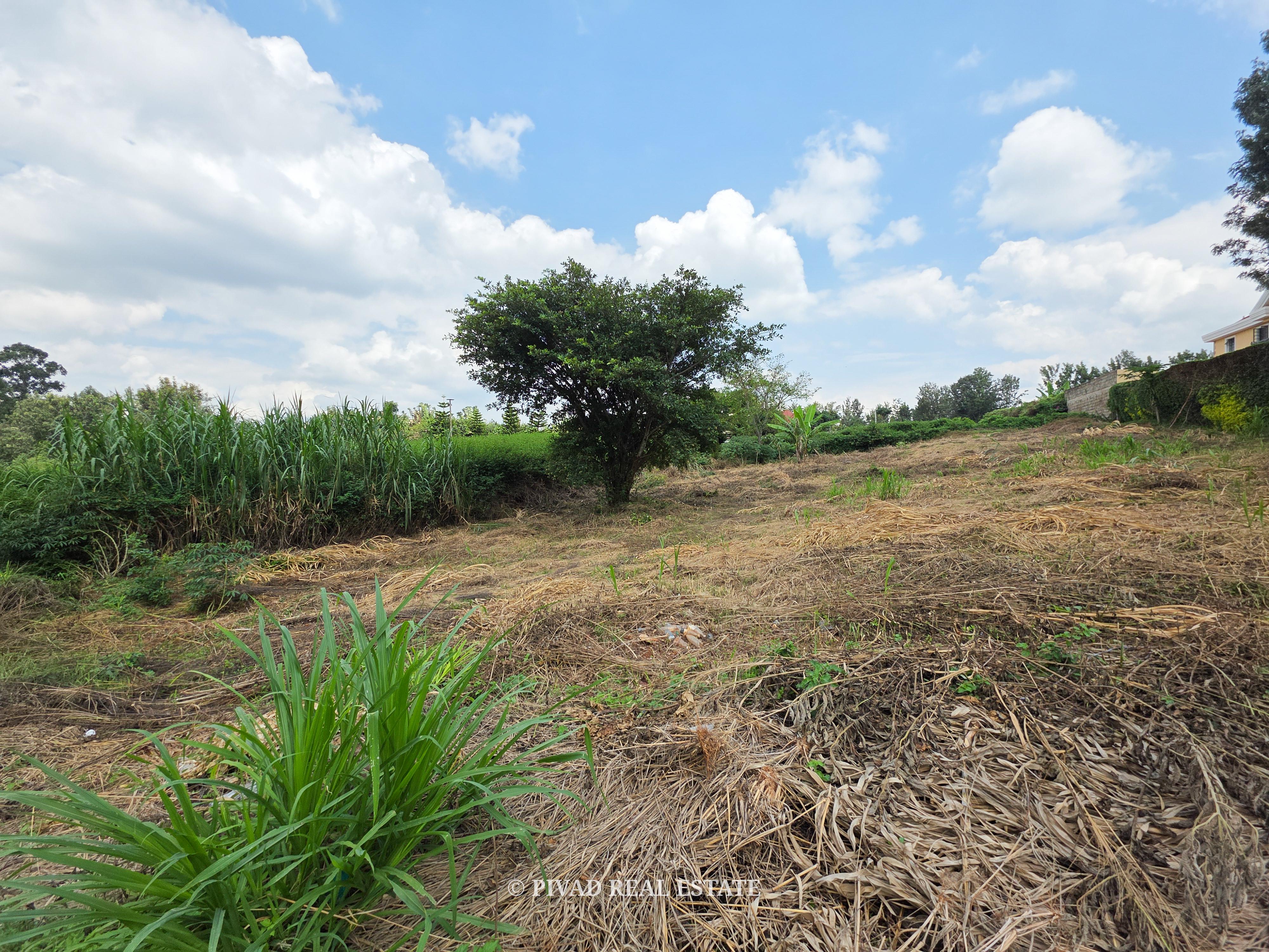 Half Acre Available For Sale In Mushroom Gardens Off Kiambu Road