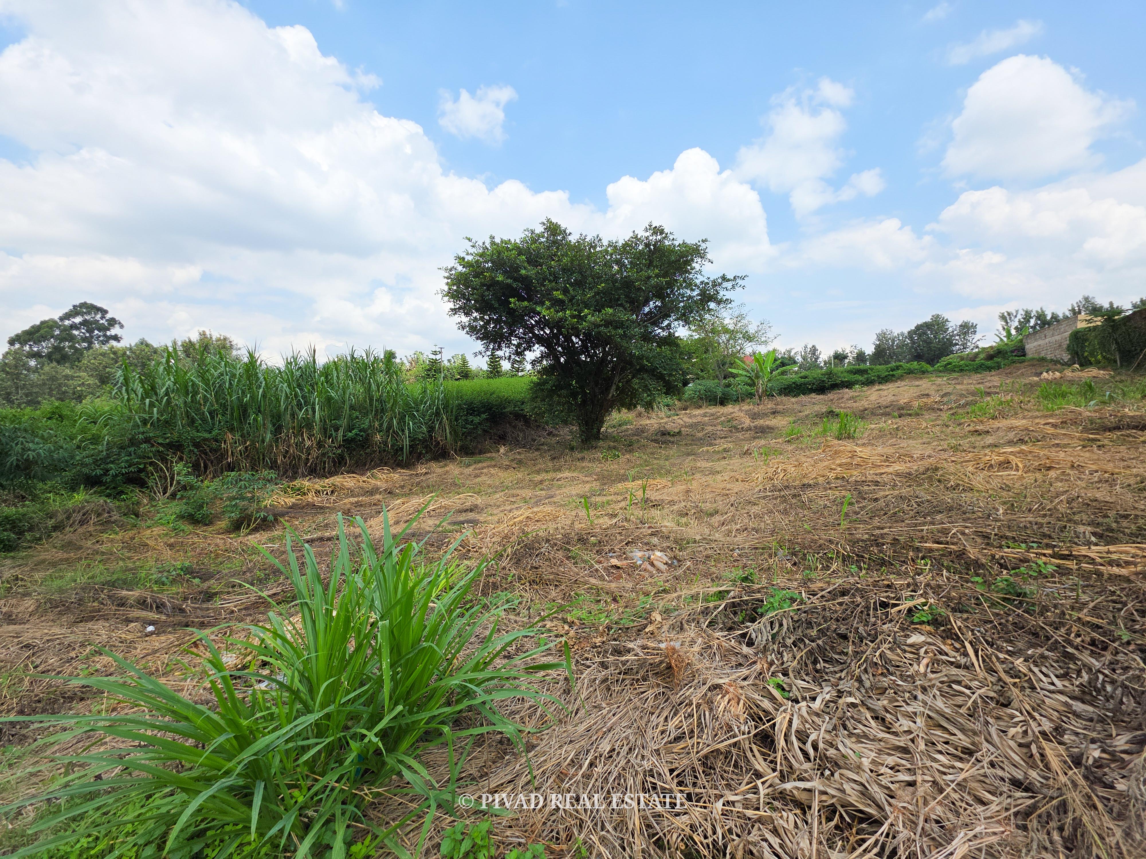 Half Acre Available For Sale In Mushroom Gardens Off Kiambu Road