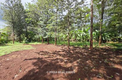1.2 acre Land for Sale in Muthaiga