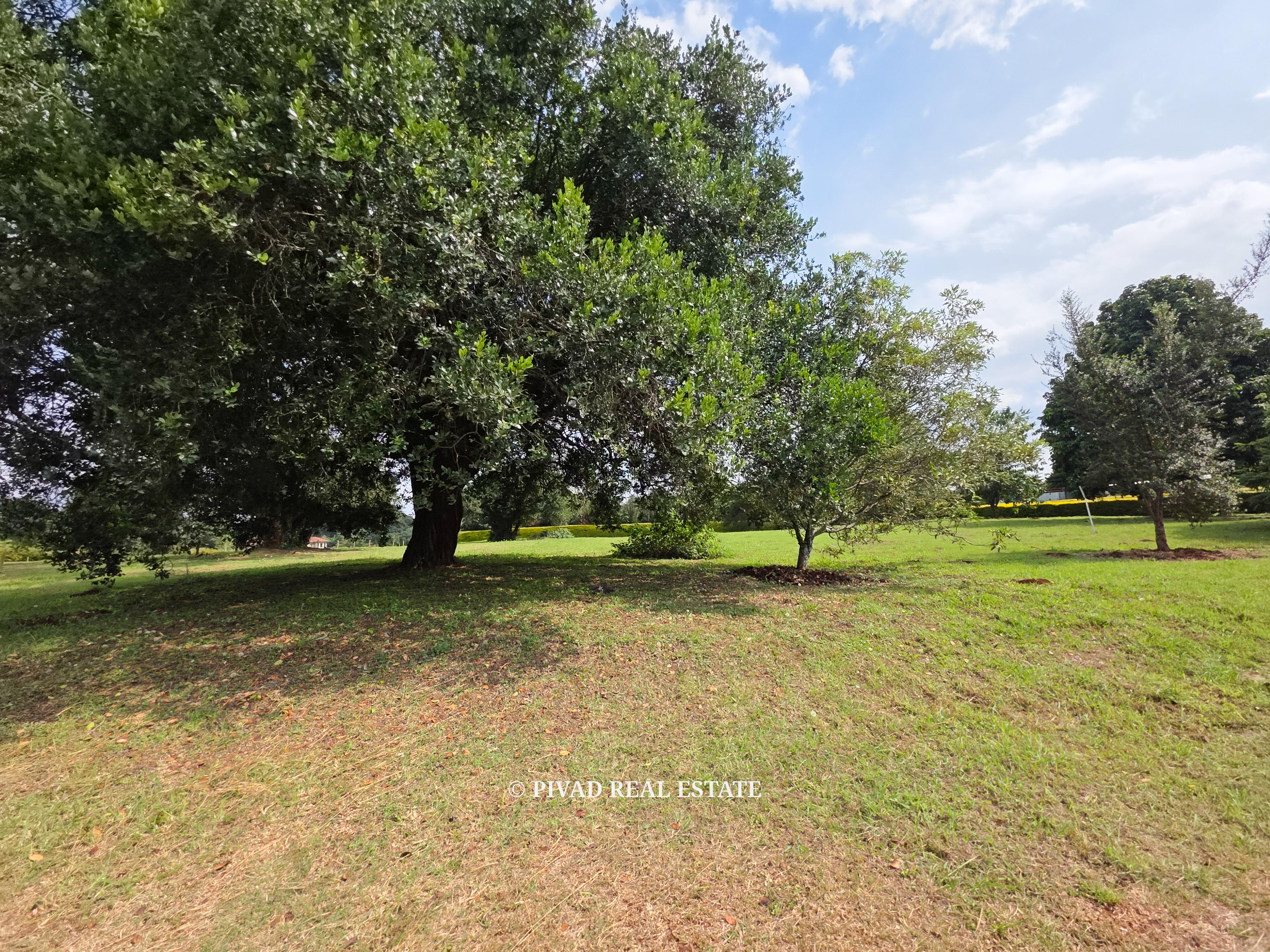 1 Acre land available for sale in a gated community, Karen Hills.