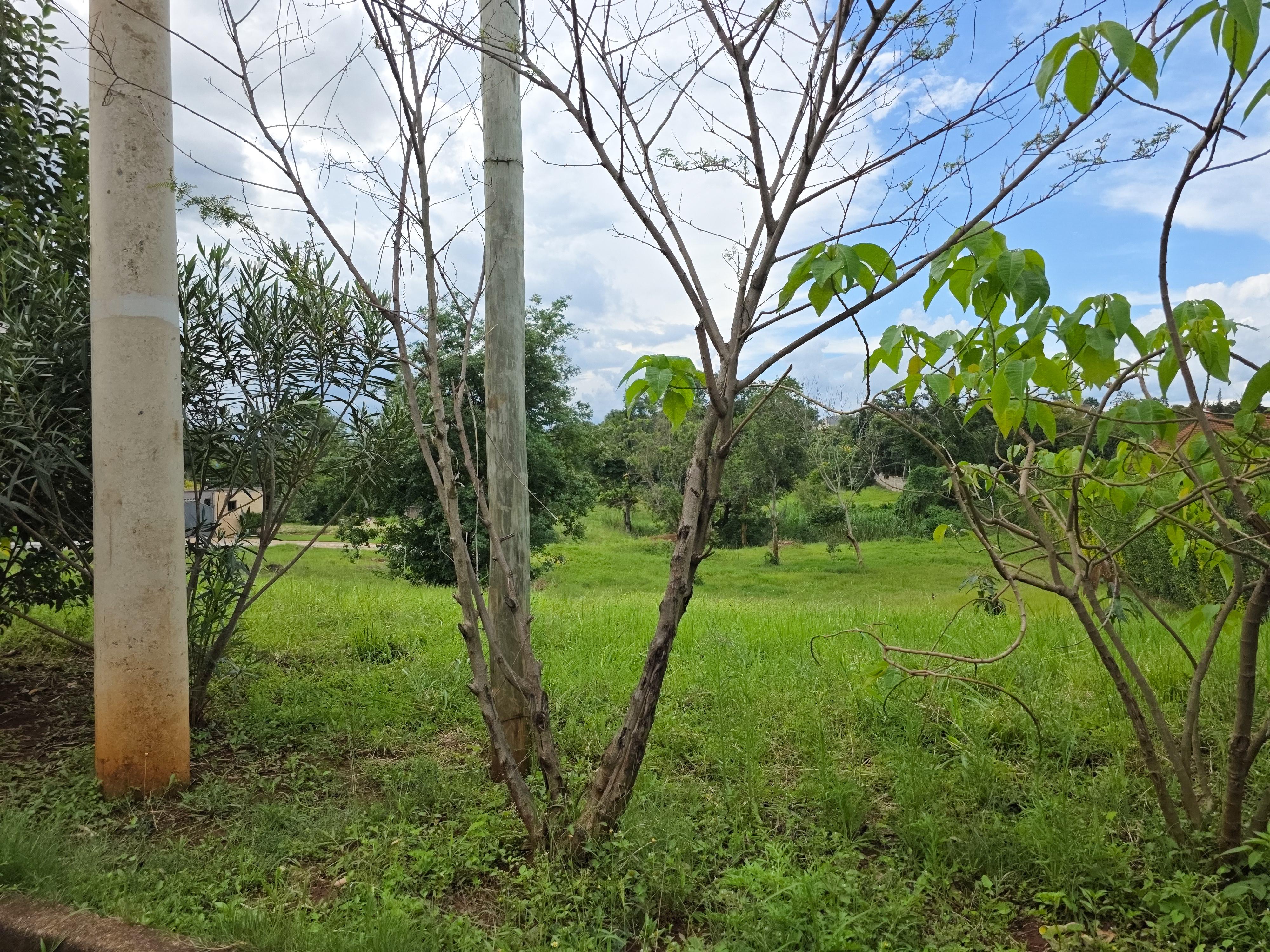 Half acre Residential Land for Sale in Muthaiga North, Countryside Estate