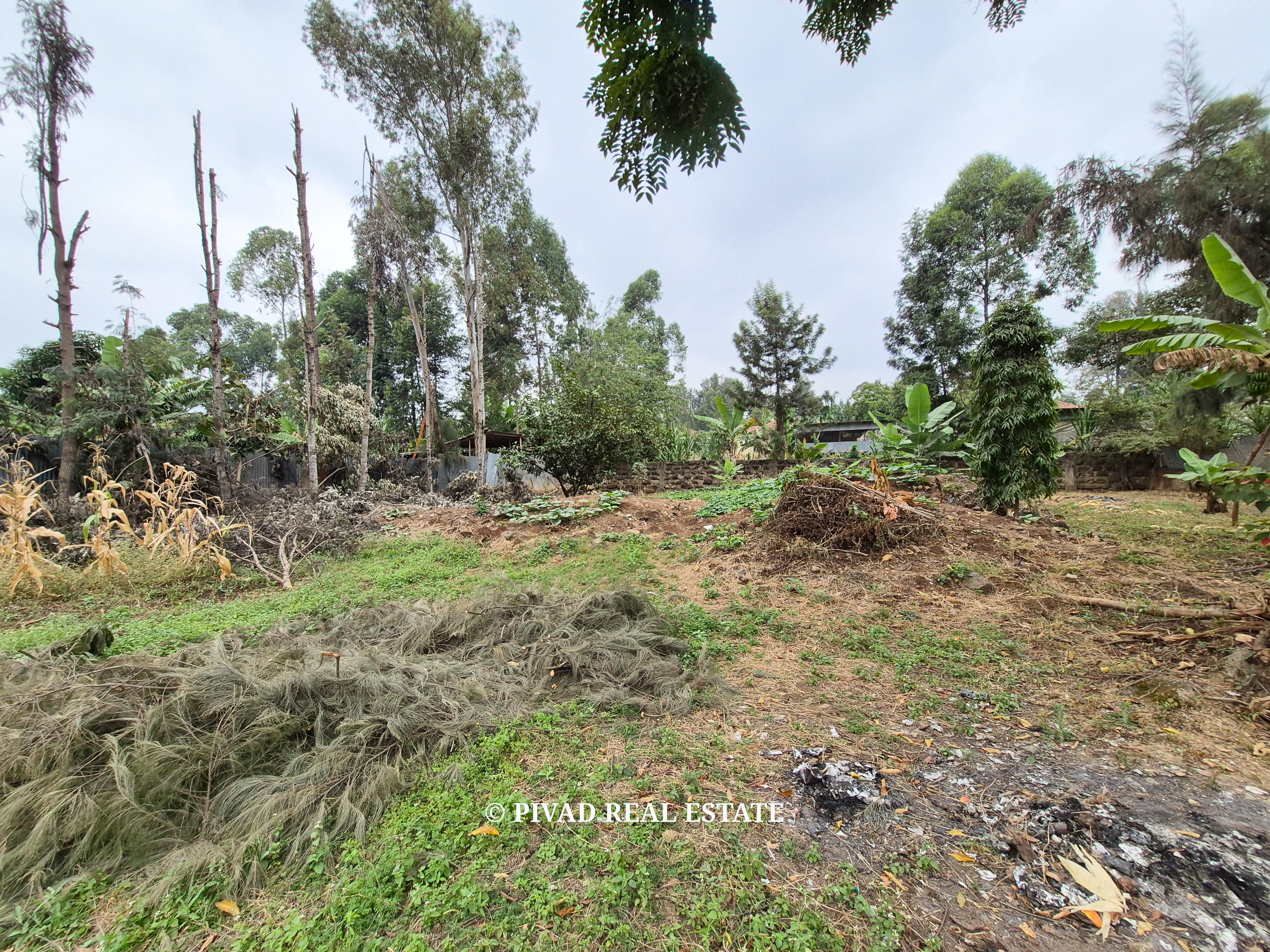 Quarter Acre Plot for Sale – Garden Estate