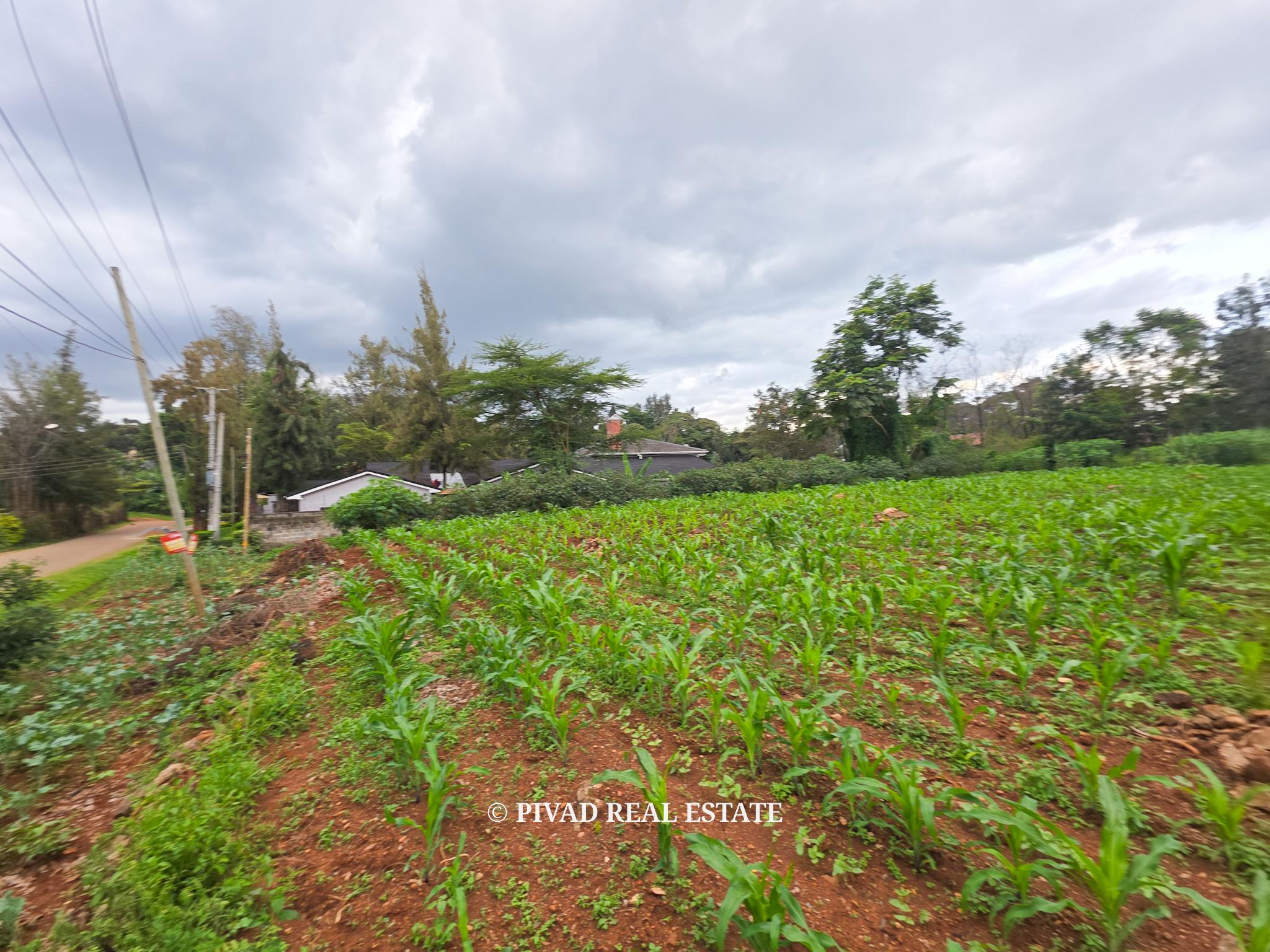 0.5 Acre Land Available For Sale at Ridgeways Estate