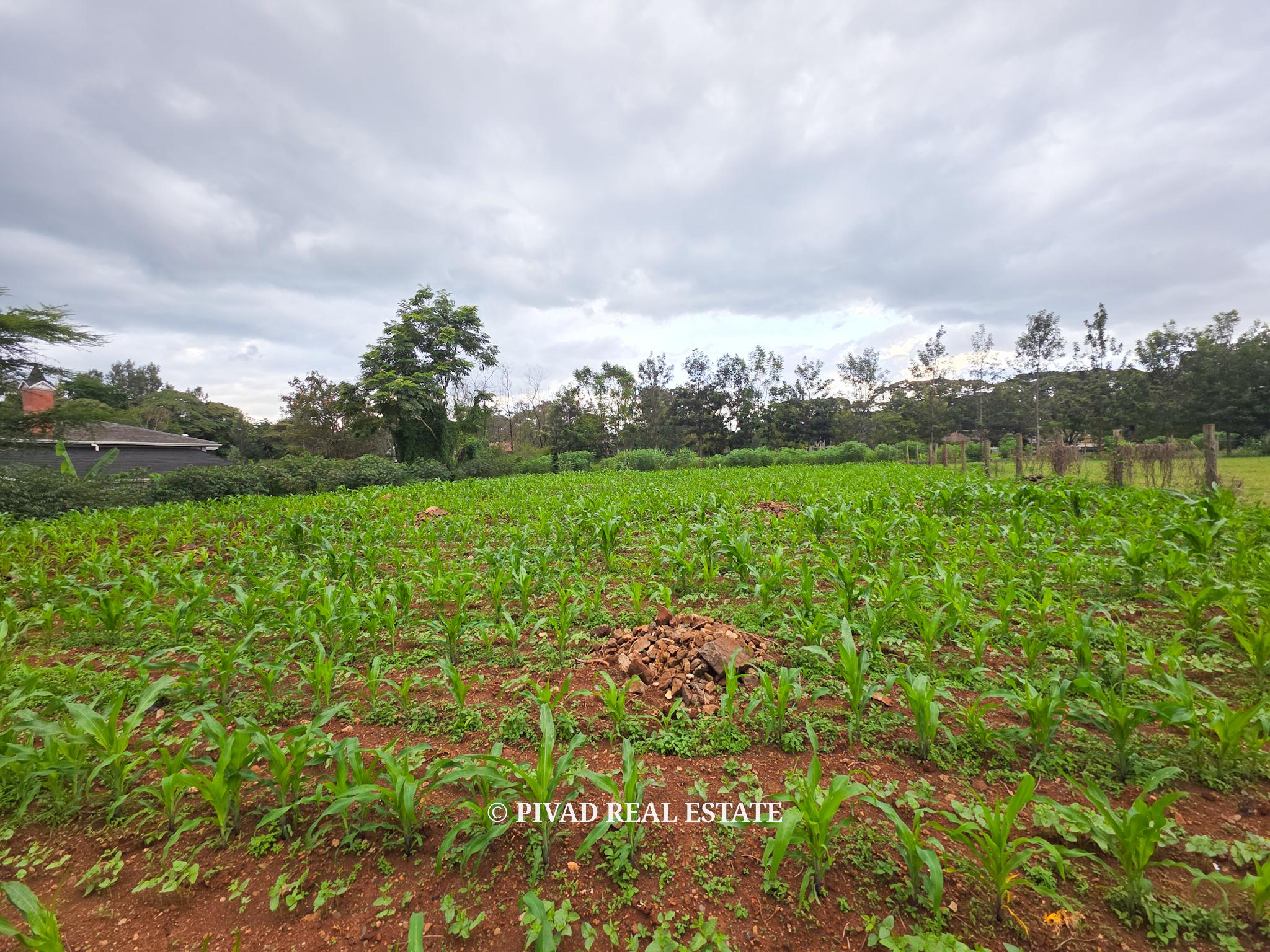 0.5 Acre Land Available For Sale at Ridgeways Estate