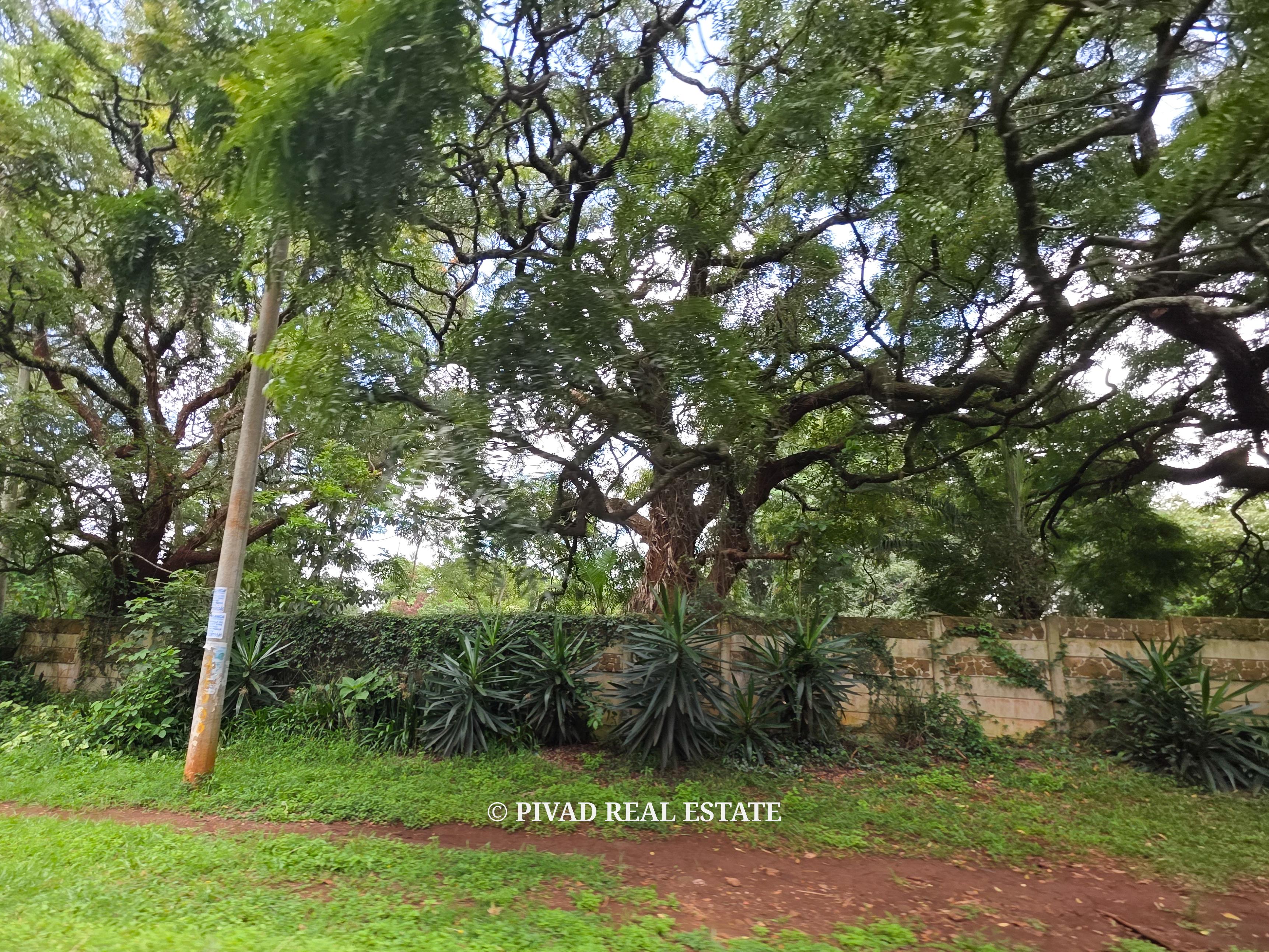 2 Acres Land Available For Sale in Lower Kabete