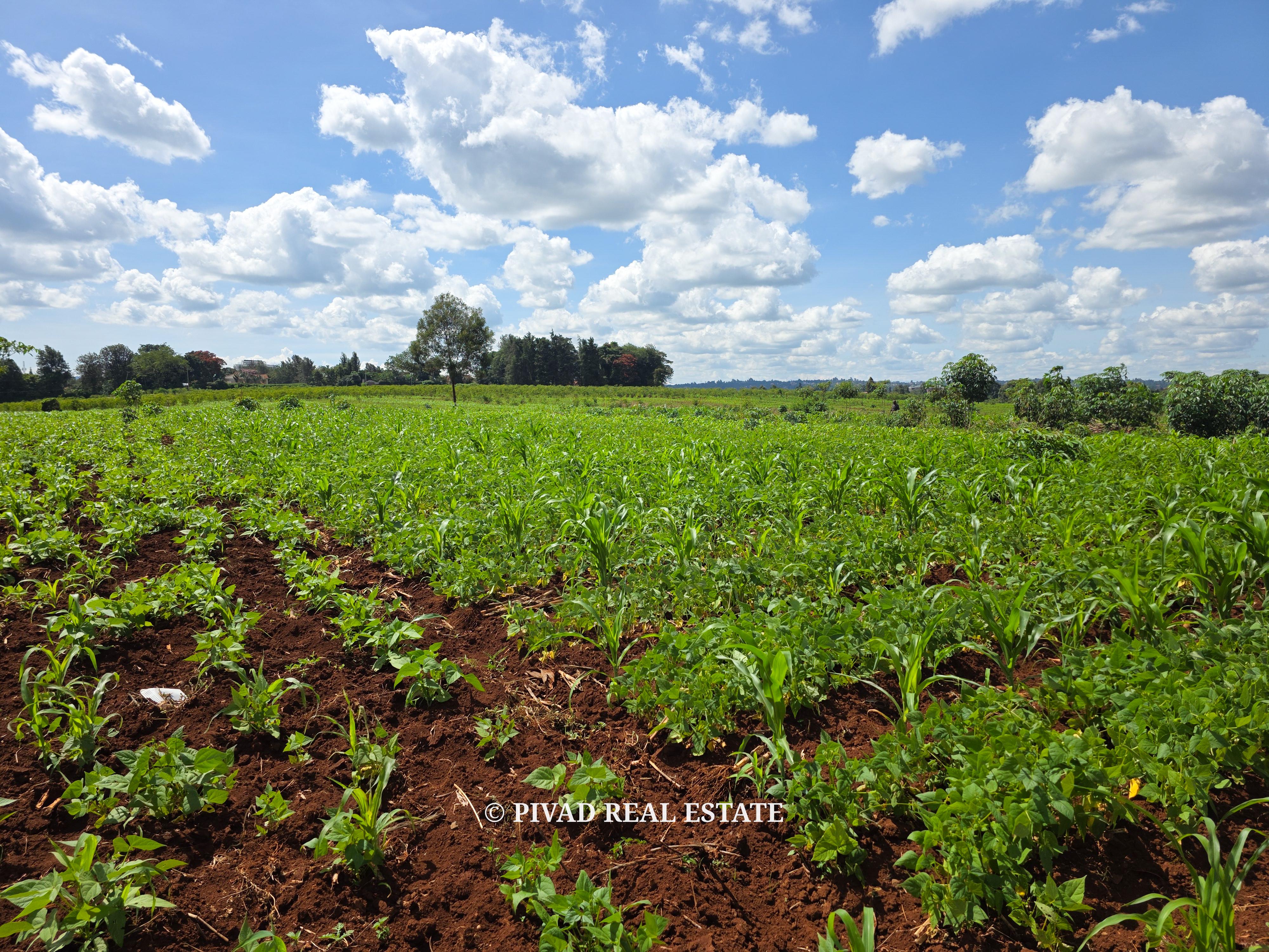 Prime Development of 10 Acres in New Kitisuru For Sale
