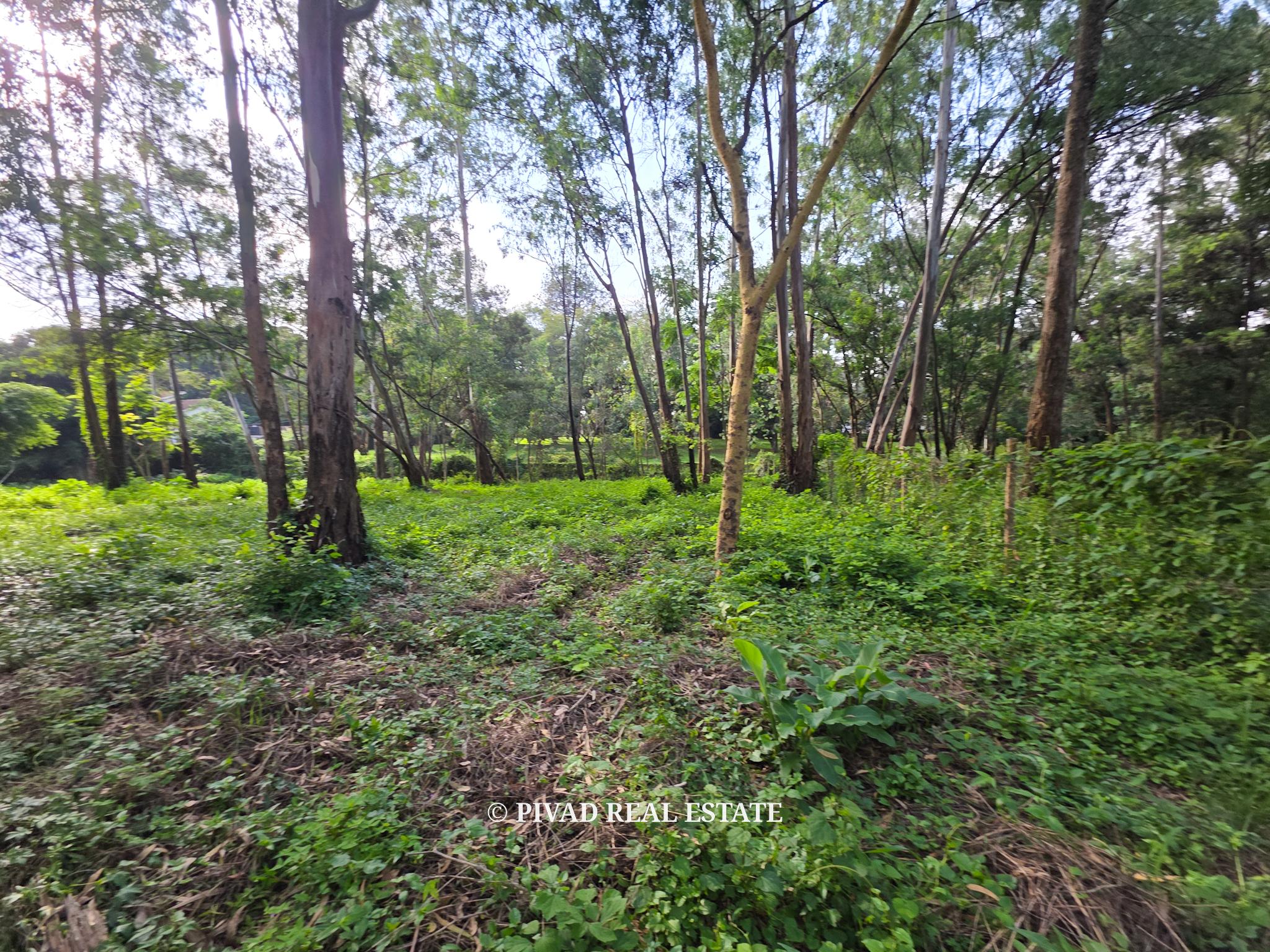 0.5 Acre Plot Available For Sale in Lake View, Westlands