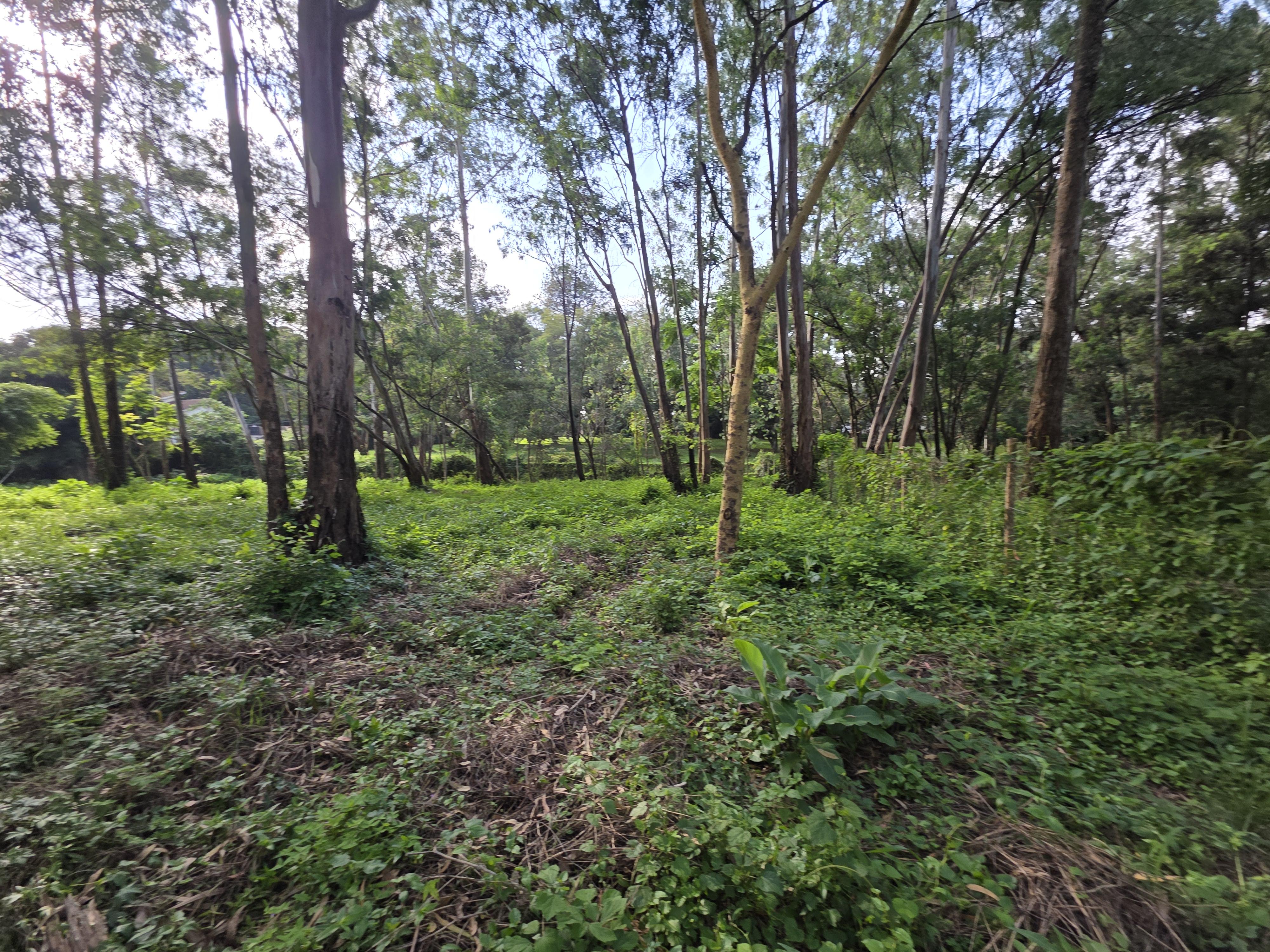 0.5 Acre Plot Available For Sale in Lake View, Westlands