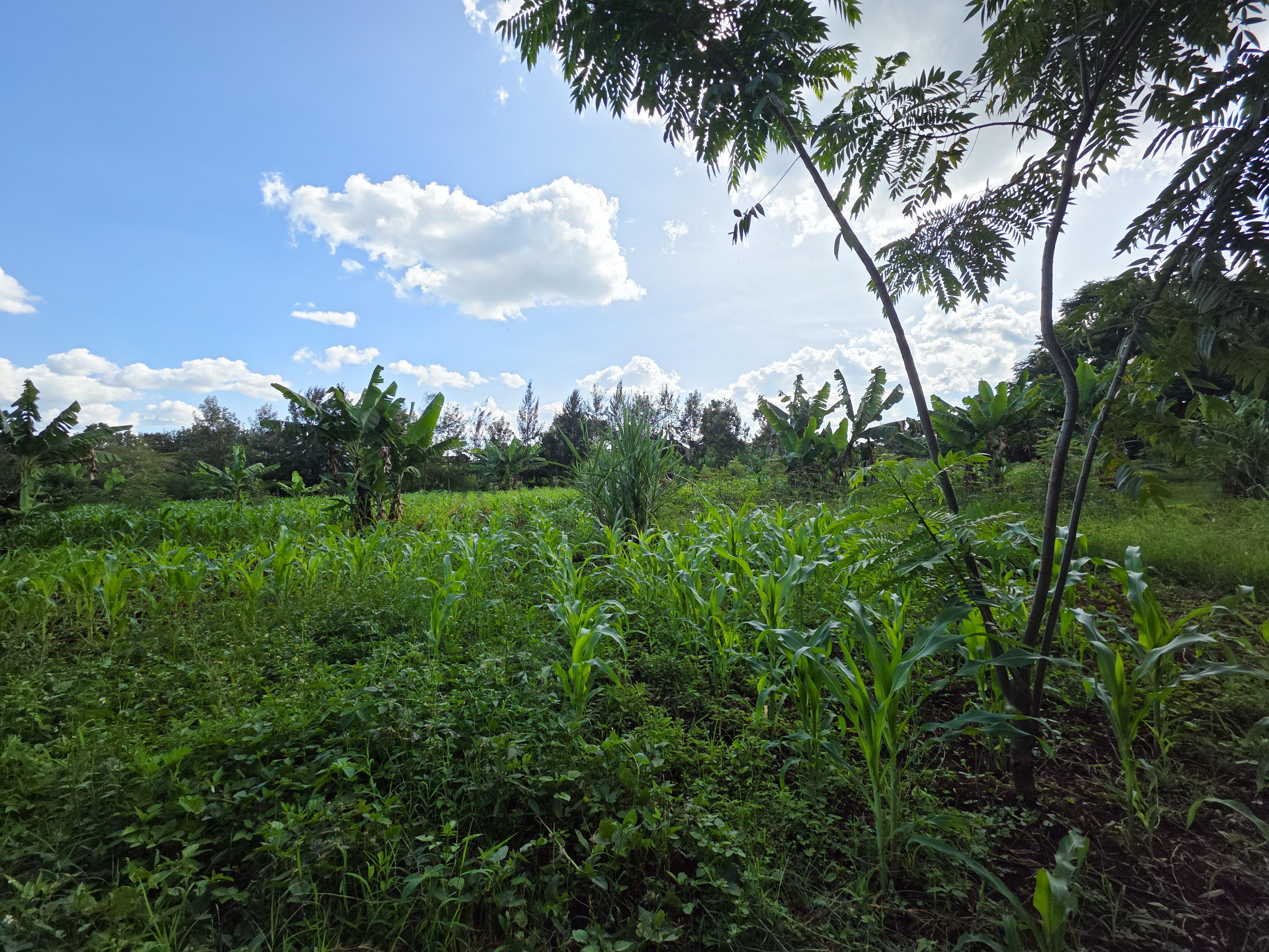Prime Development of 10 Acres in New Kitisuru For Sale