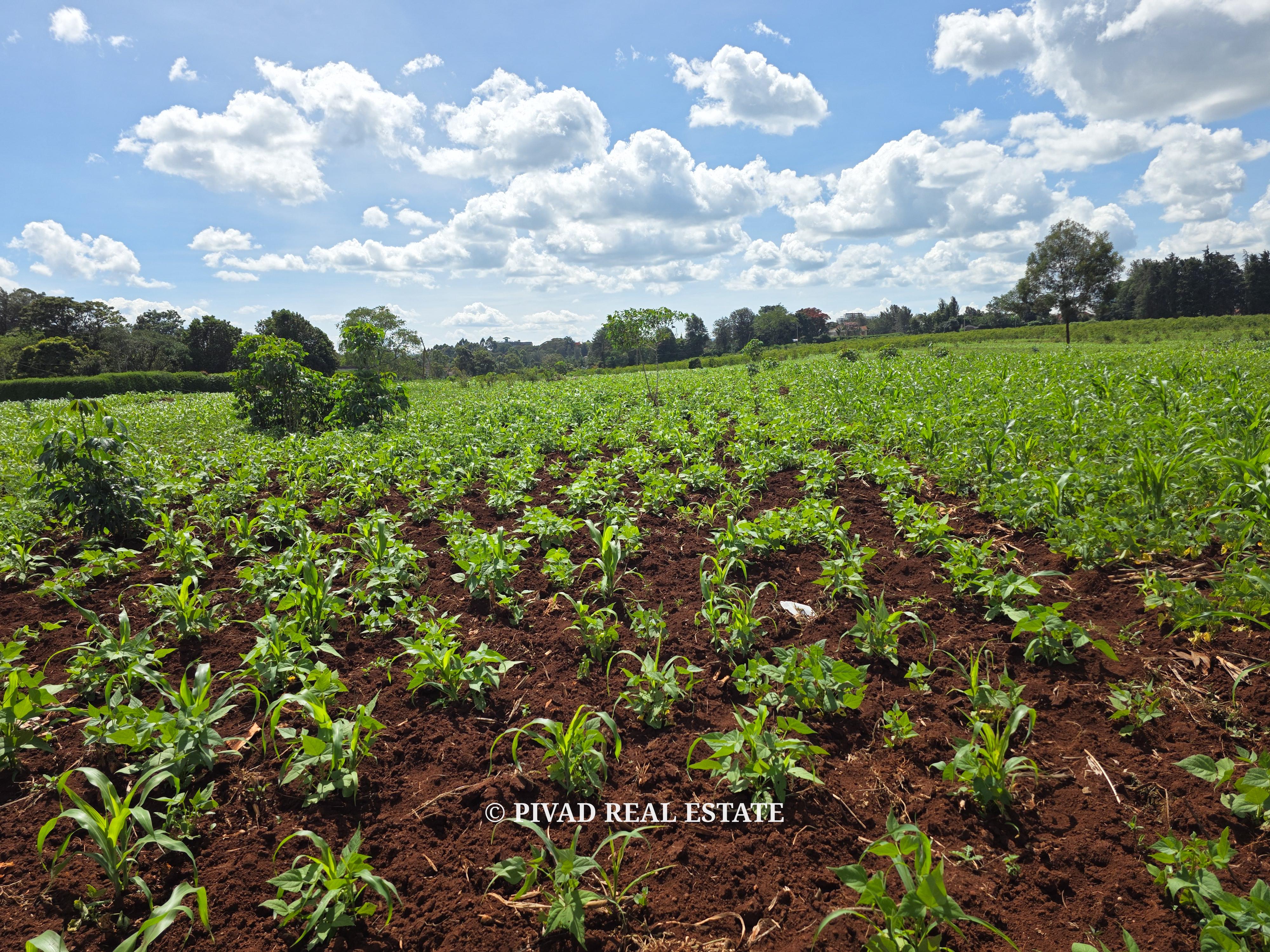 Prime Development of 10 Acres in New Kitisuru For Sale