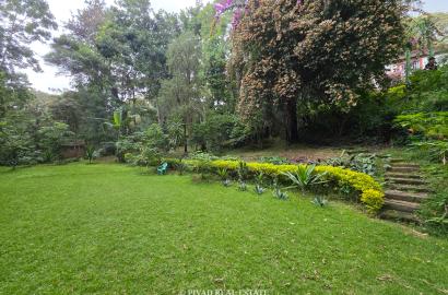 1 Acre Prime Property in Old Muthaiga